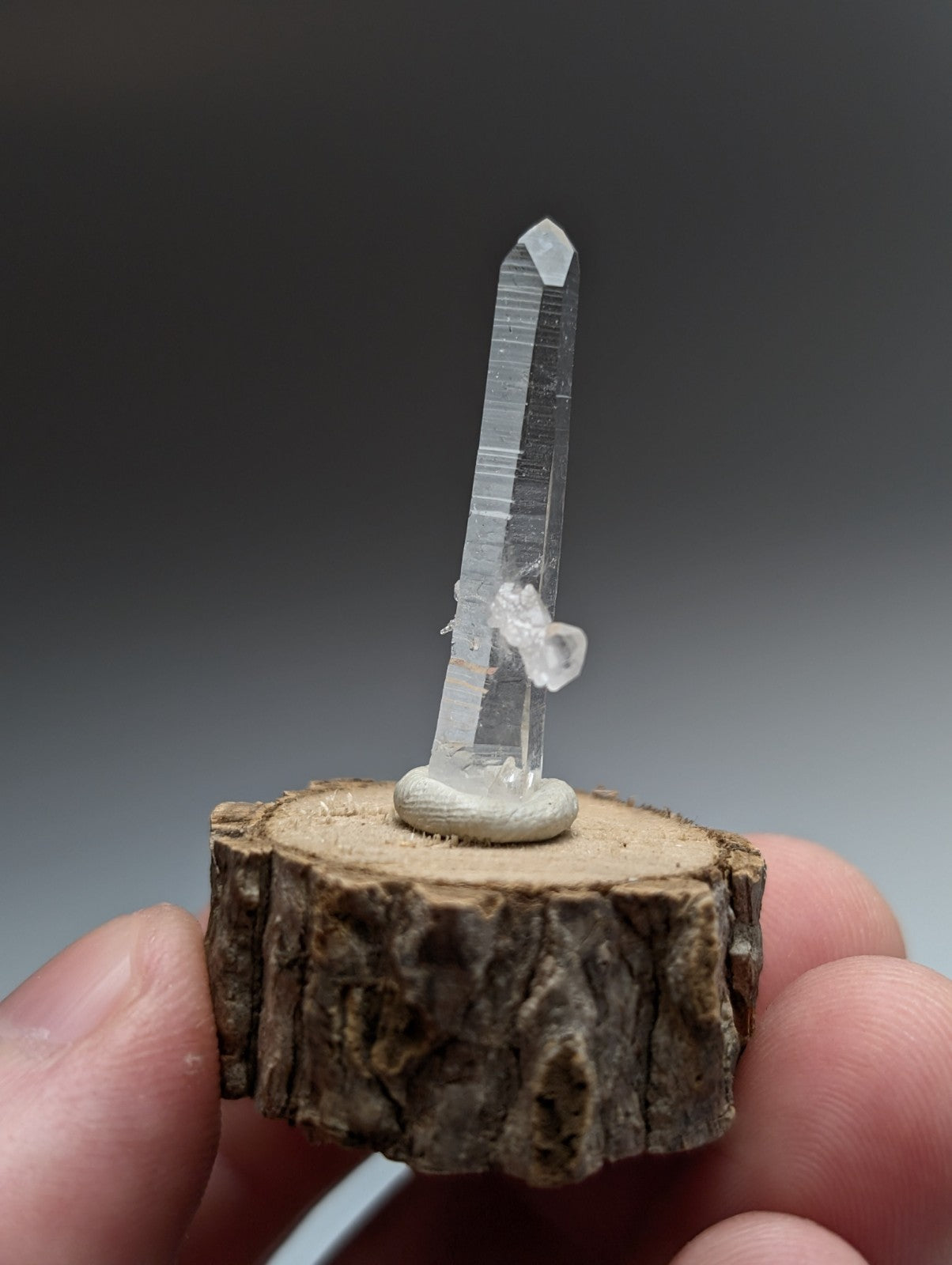 A clear transparent quartz crystal with pointed tip and visible striations on a natural wood base from garland county arkansas