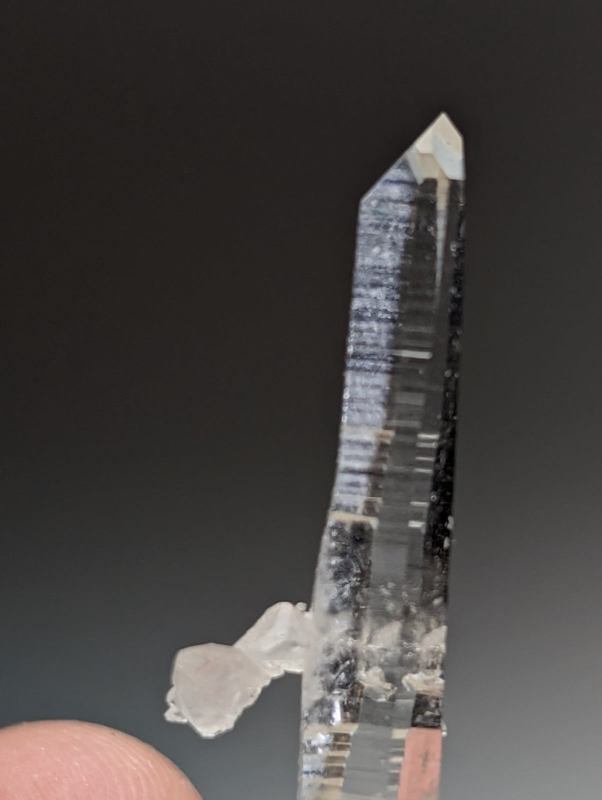 A clear quartz crystal with pointed tip and internal striations on a natural wood base from garland county arkansas