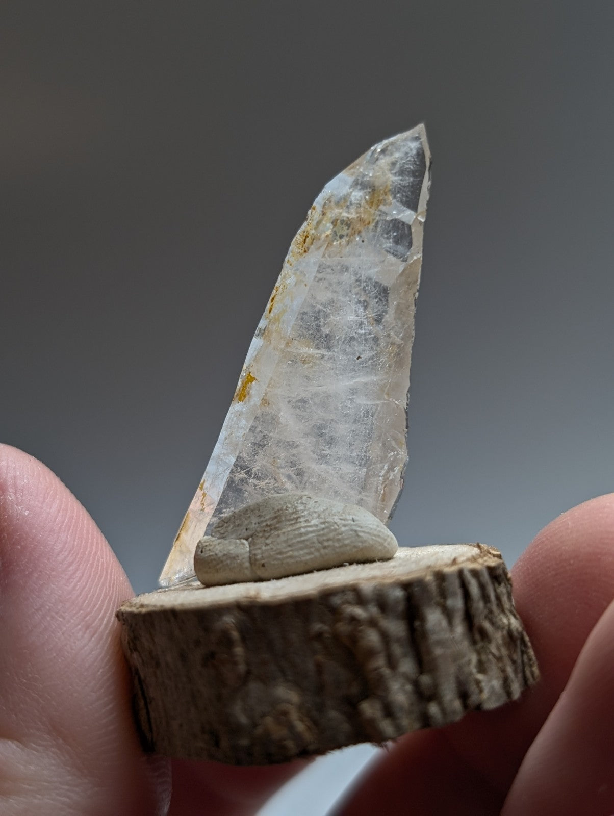 A translucent pointed quartz crystal with golden inclusions on a natural wood base from garland county arkansas