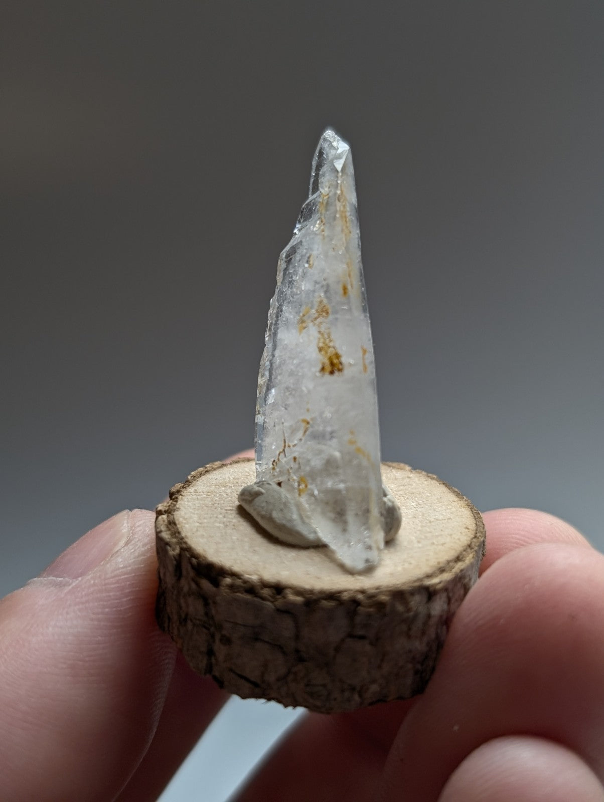 A clear quartz crystal with golden inclusions mounted on a natural wood base from garland county arkansas
