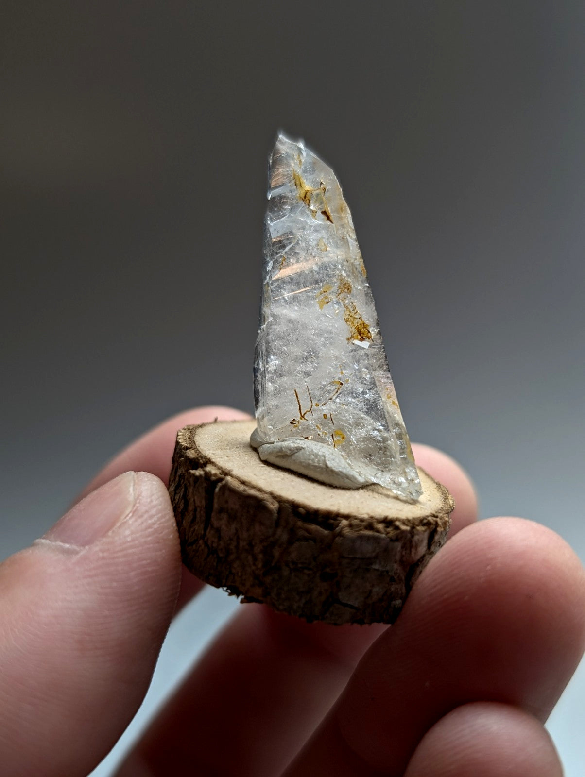 A clear translucent quartz crystal with golden inclusions on a natural wood base from garland county arkansas