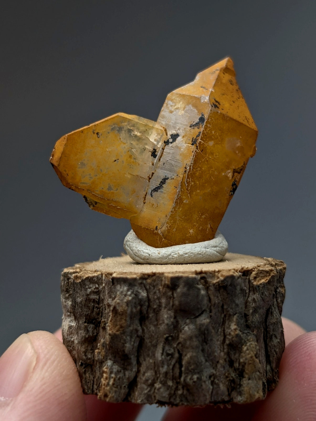 A+ unique translucent golden-yellow quartz with natural inclusions on a natural wood base from garland county arkansas