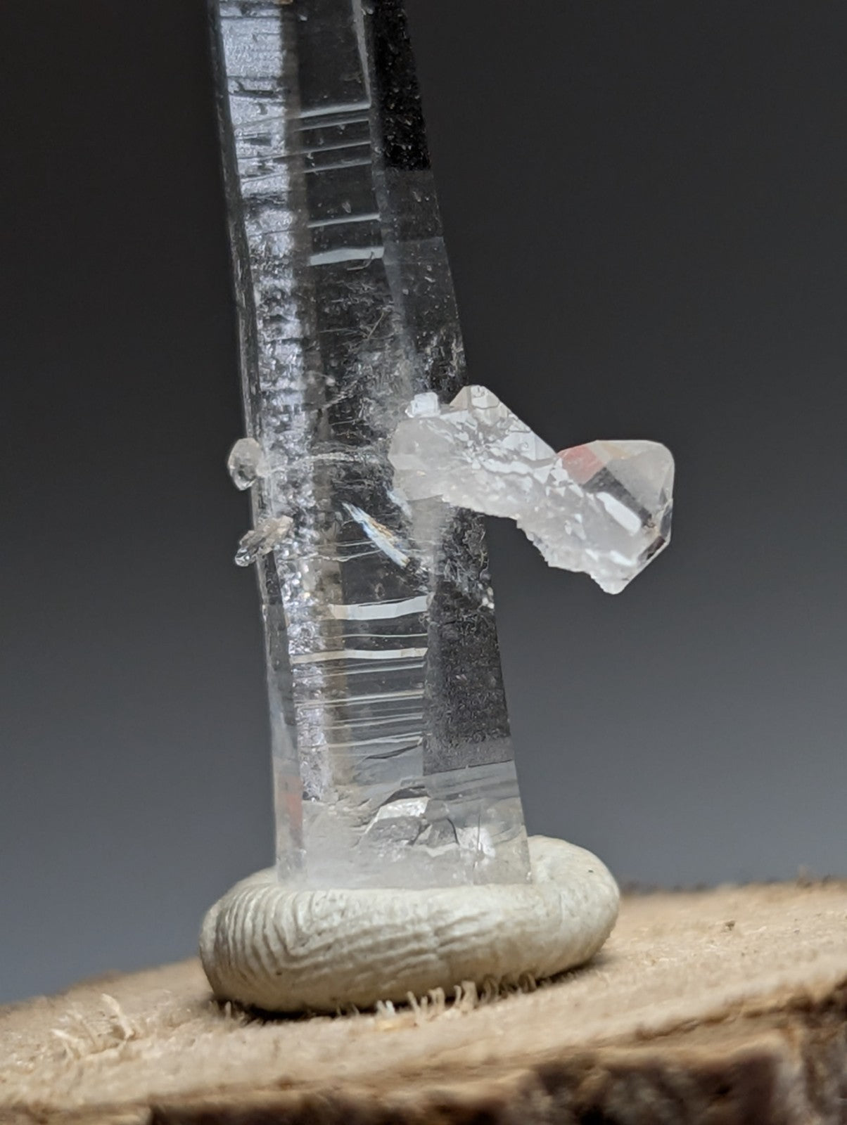 A clear quartz crystal with a tall transparent column and faceted cluster on a natural wood base from arkansas
