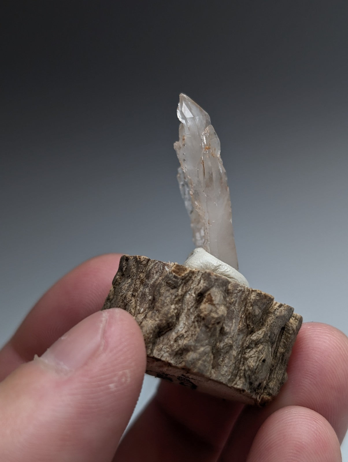 A clear quartz crystal with a pointed tip mounted on a natural wood base from garland county arkansas