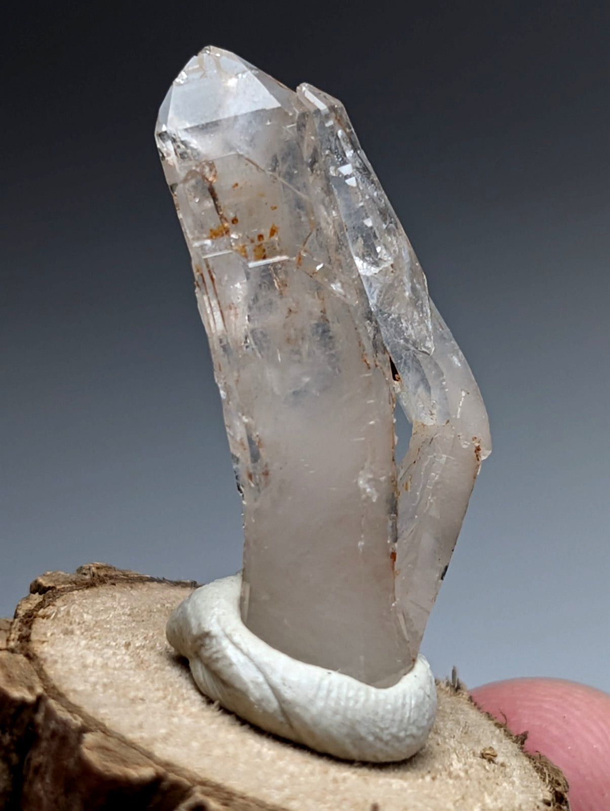 A translucent clear quartz crystal with natural inclusions displayed upright on a white ceramic stand with wood base