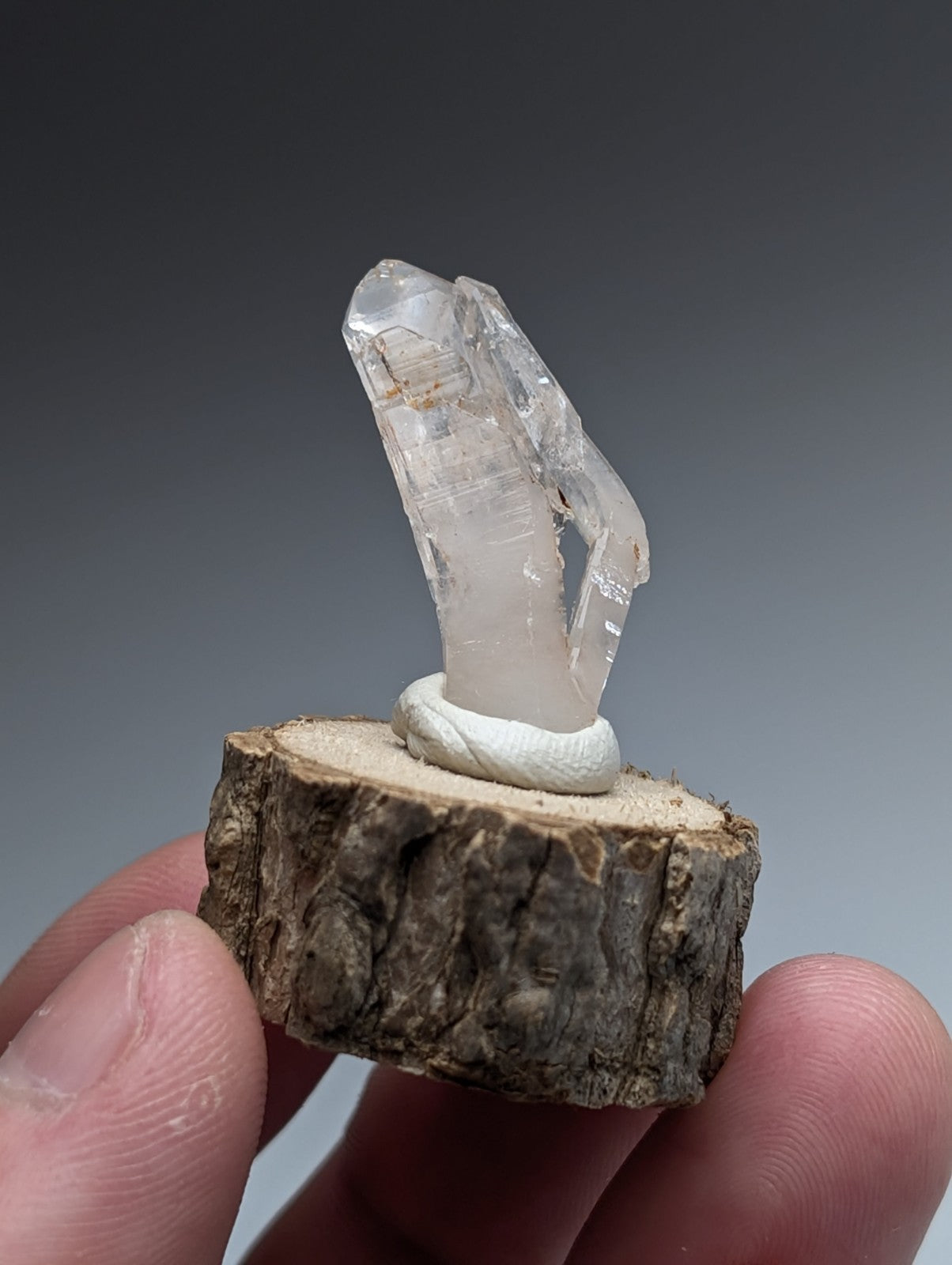 A clear quartz crystal cluster mounted on a rustic natural wood base with a white resin band from garland county arkansas