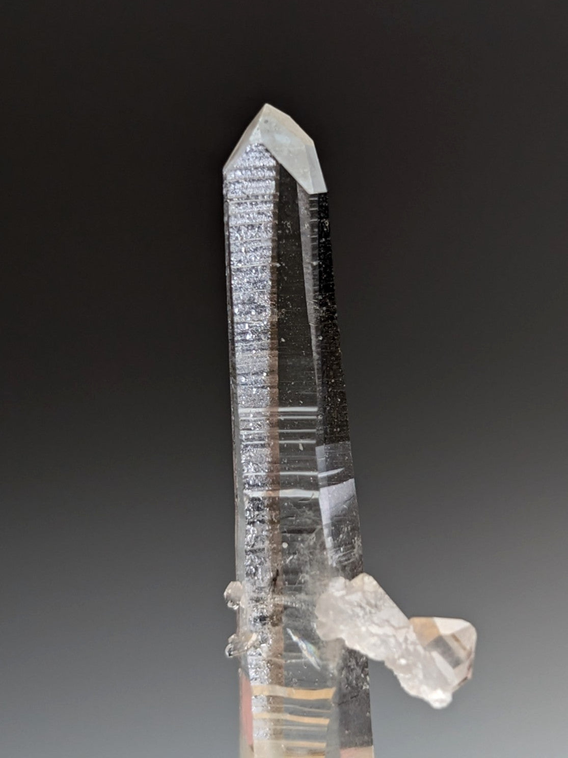 A tall transparent quartz crystal with visible striations on a natural wood base from garland county arkansas