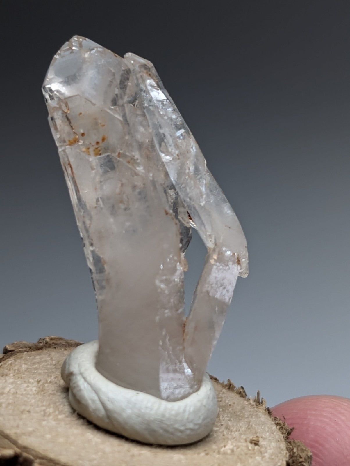 A clear quartz crystal cluster with natural brown inclusions on a white ceramic base with natural wood base