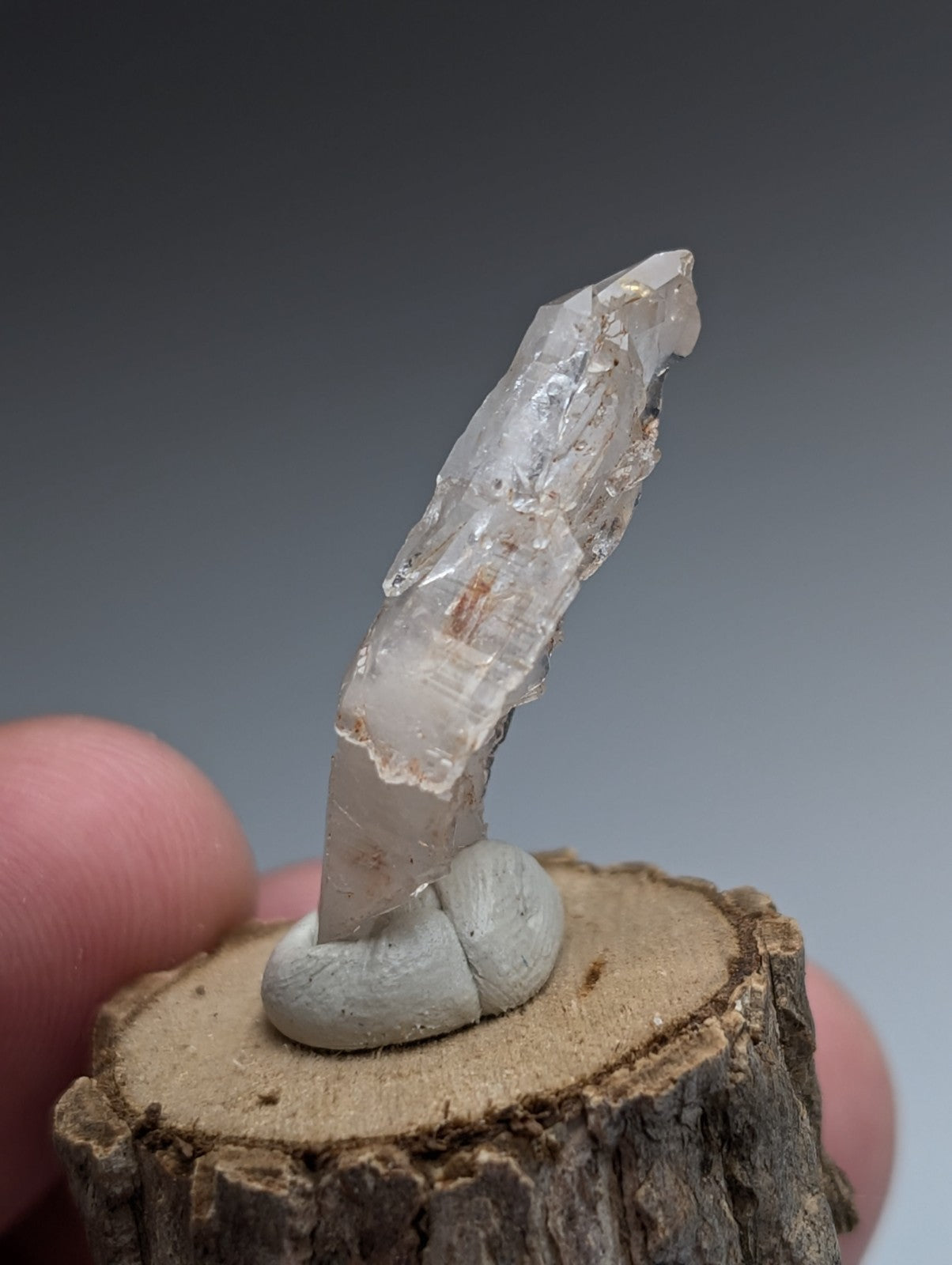 A translucent clear quartz crystal with natural inclusions and pointed tip on a gray ceramic base from Garland County Arkansas