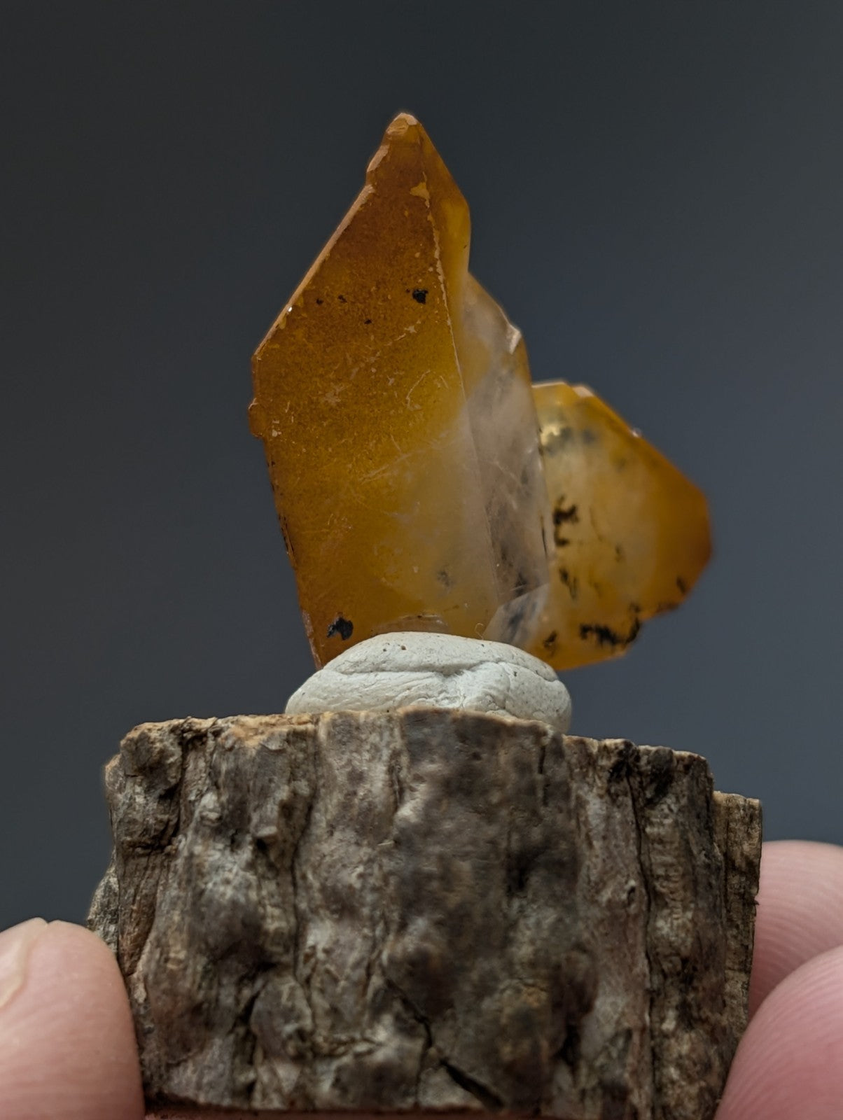 A+ unique quartz crystal with translucent amber color and natural wood base from Garland County Arkansas old stock