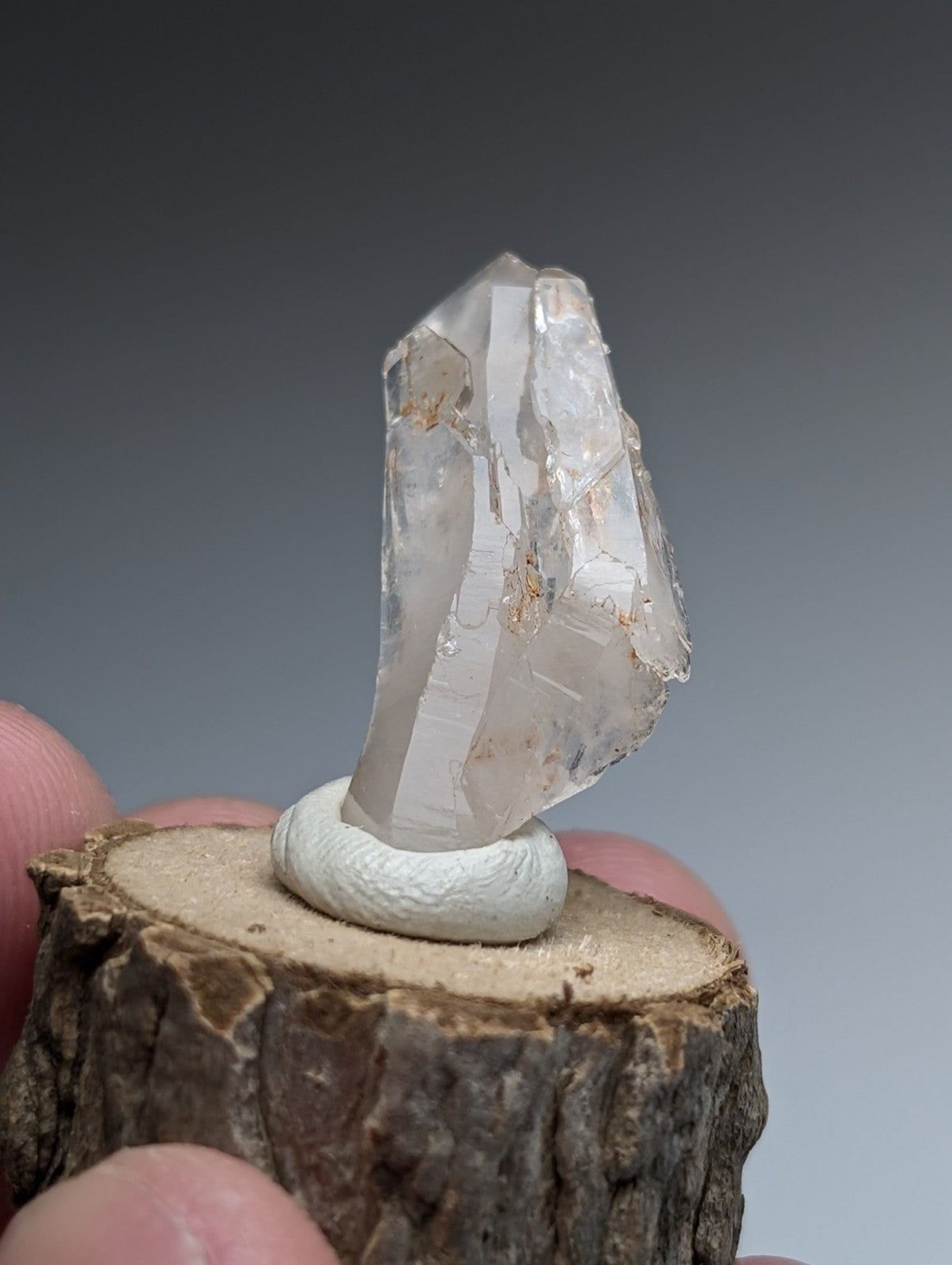 A clear quartz crystal with golden inclusions on a natural wood base from old stock garland county arkansas