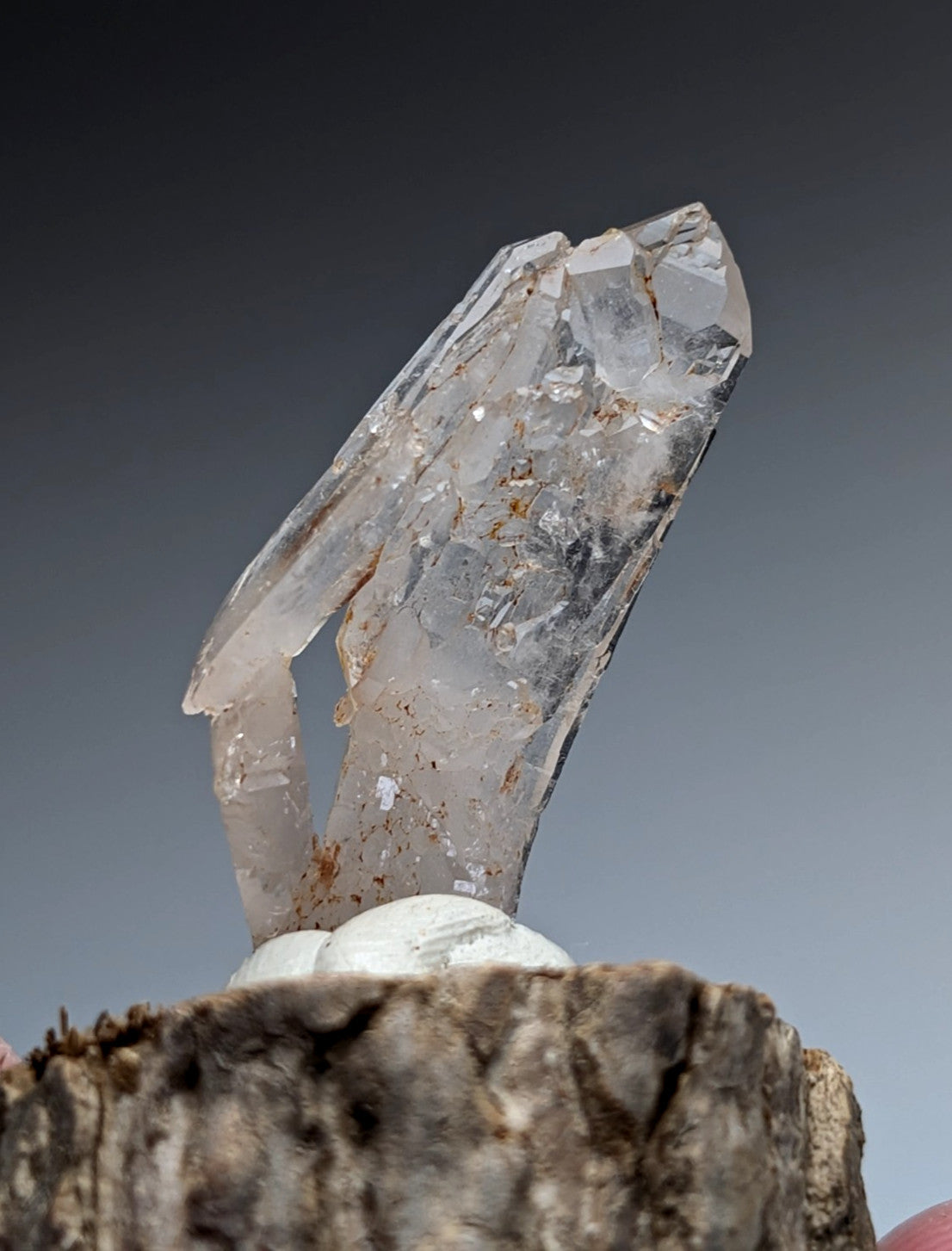 A+ unique quartz cluster with clear translucent crystals and brown inclusions on a natural wood base from Arkansas