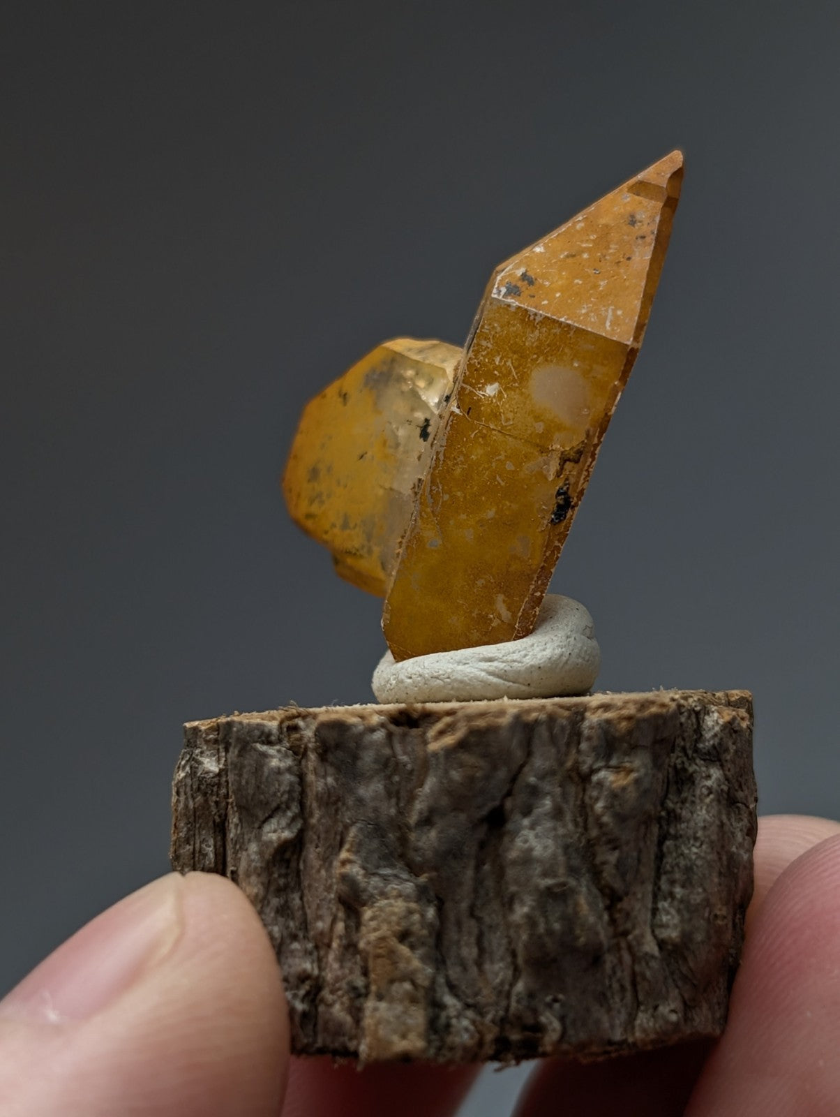 A golden-yellow citrine quartz crystal with a pointed tip mounted on natural wood base from garland county arkansas