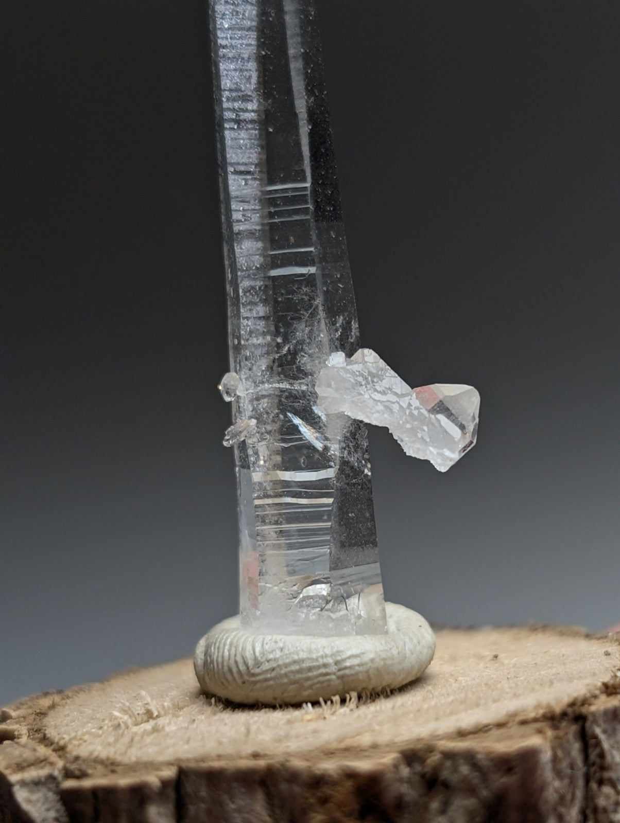 A tall transparent quartz crystal with internal striations on a natural wood base from garland county arkansas