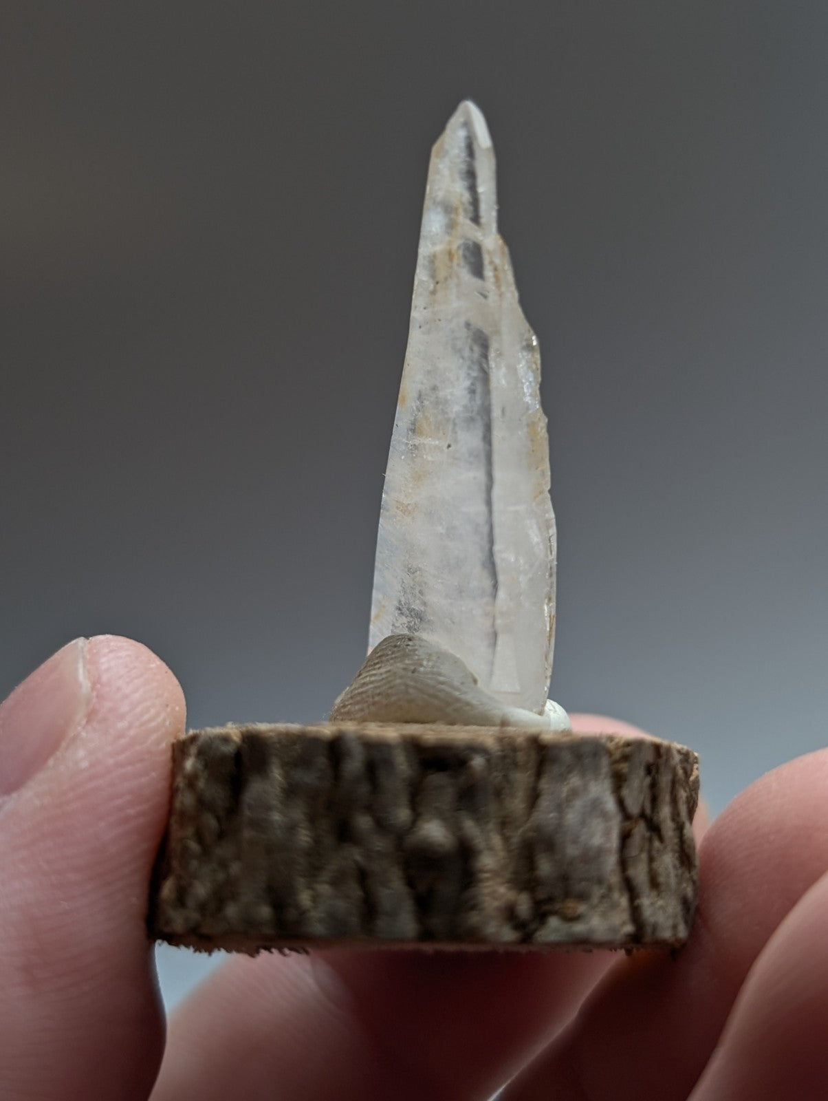 A clear translucent quartz crystal with natural inclusions on a natural wood base from garland county arkansas