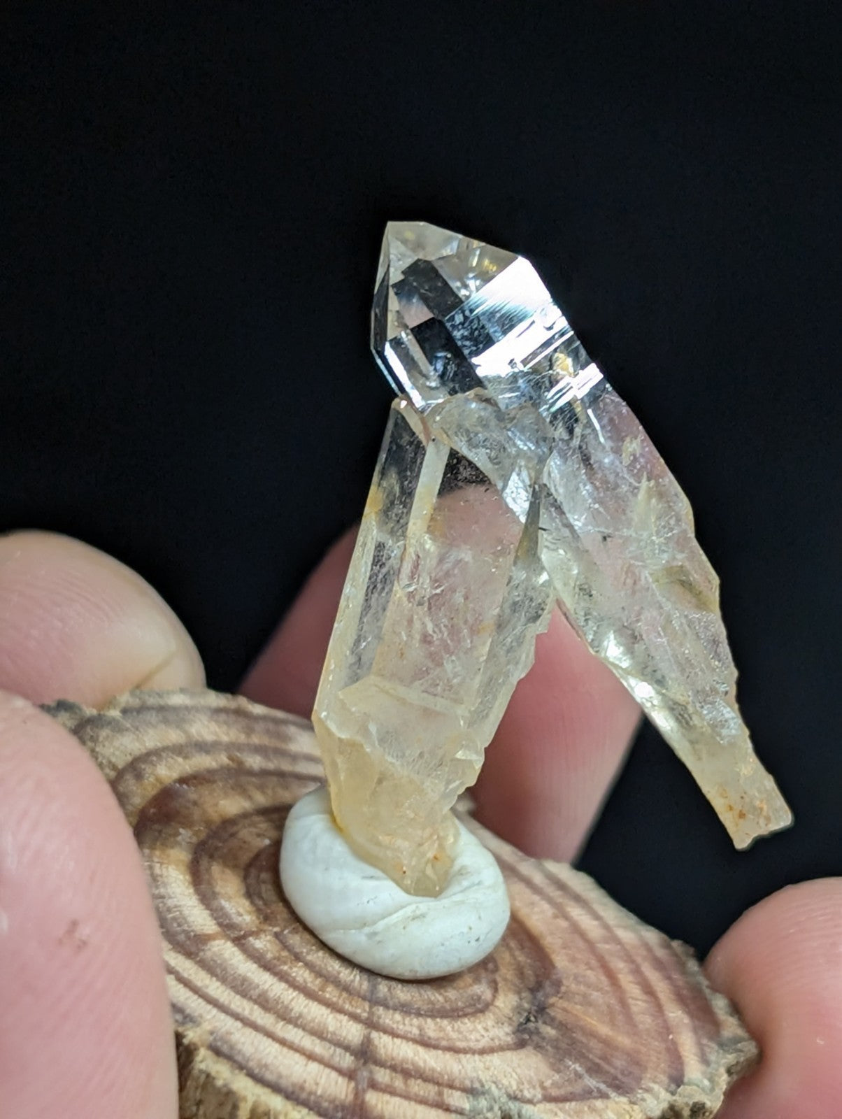 A translucent, faceted quartz crystal with a pale yellow tint stands upright on a small white base atop a circular wooden slice.