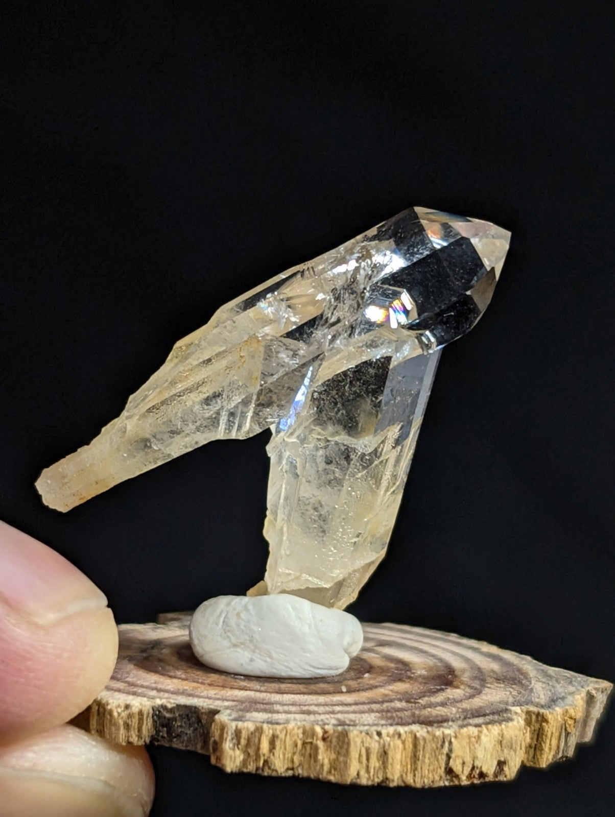 A translucent, pale yellow quartz crystal with a pointed tip and angular facets stands upright on a small white stone atop a circular wooden slice.
