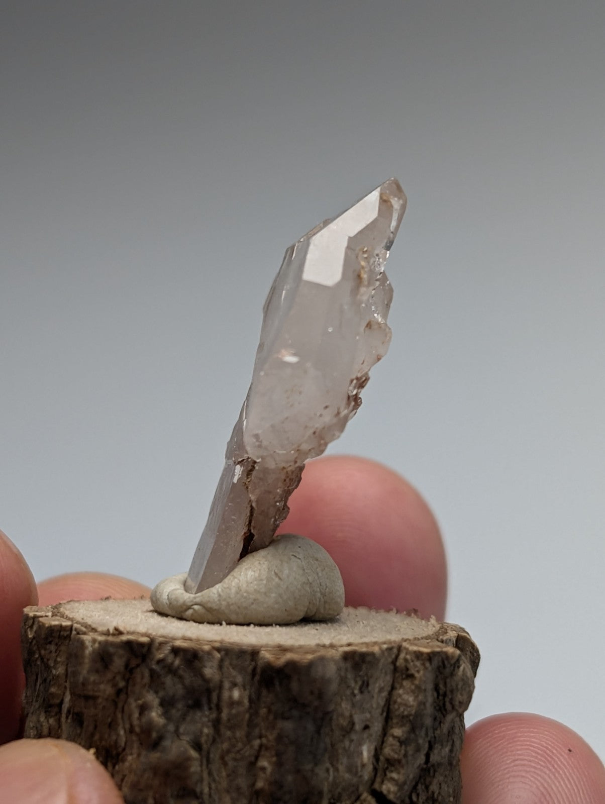 A+ unique translucent quartz crystal with pointed tip and rough edges on natural wood base from montgomery county arkansas