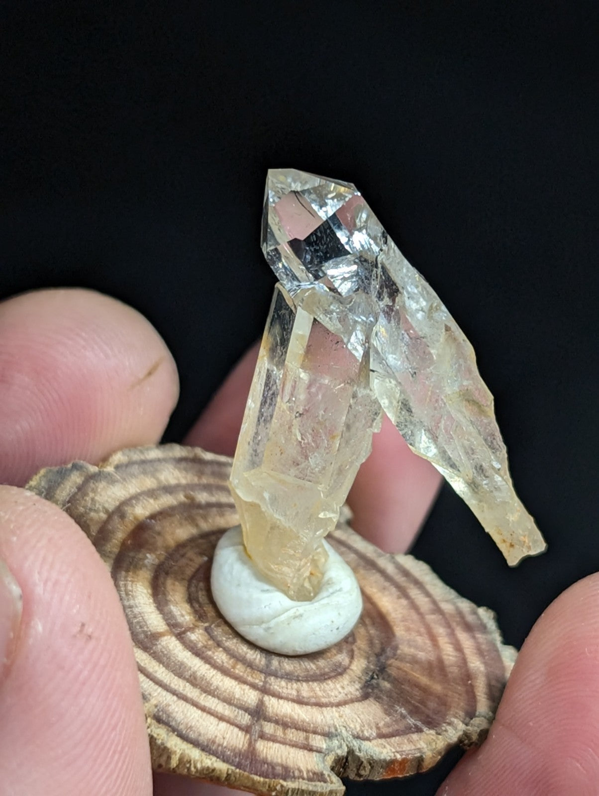 A translucent, pale yellow quartz crystal with sharp facets and a pointed tip stands upright on a small white base atop a circular wooden slice.
