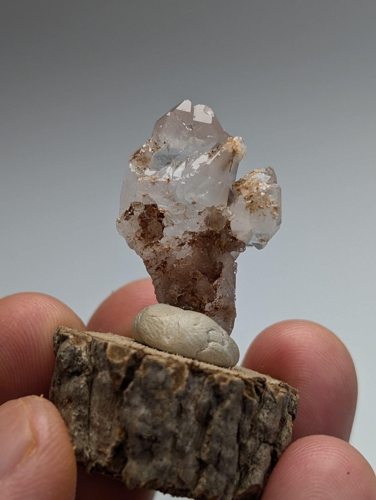 A+ unique quartz mineral with translucent crystals and a rough base on a natural wood base from montgomery county arkansas