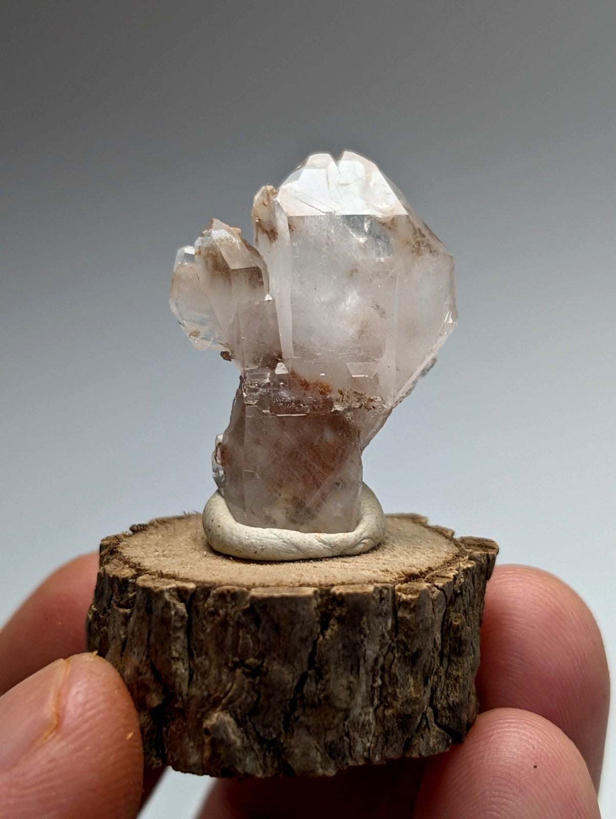 A+ unique translucent faceted quartz cluster with subtle brown inclusions on a natural wood base from montgomery county arkansas