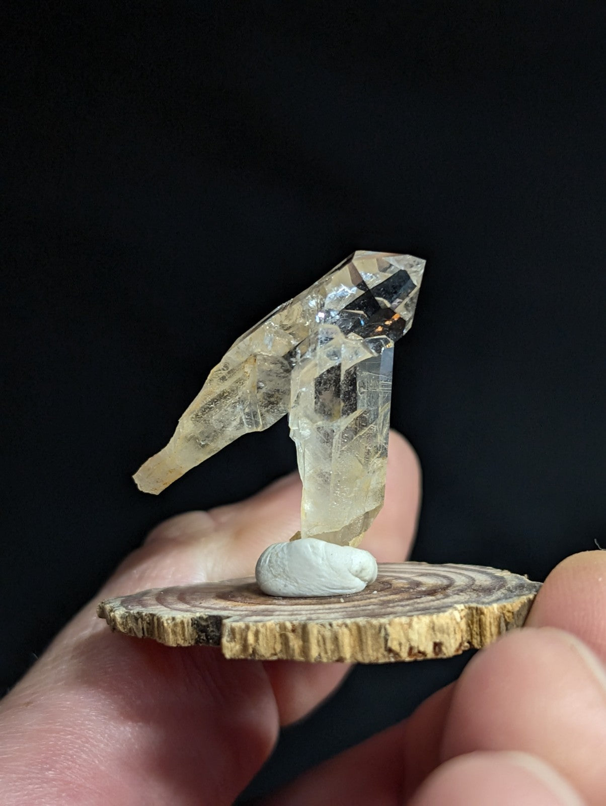 A translucent, pale yellow quartz crystal formation with a pointed top and angular facets stands upright on a small white stone atop a circular wooden slice.