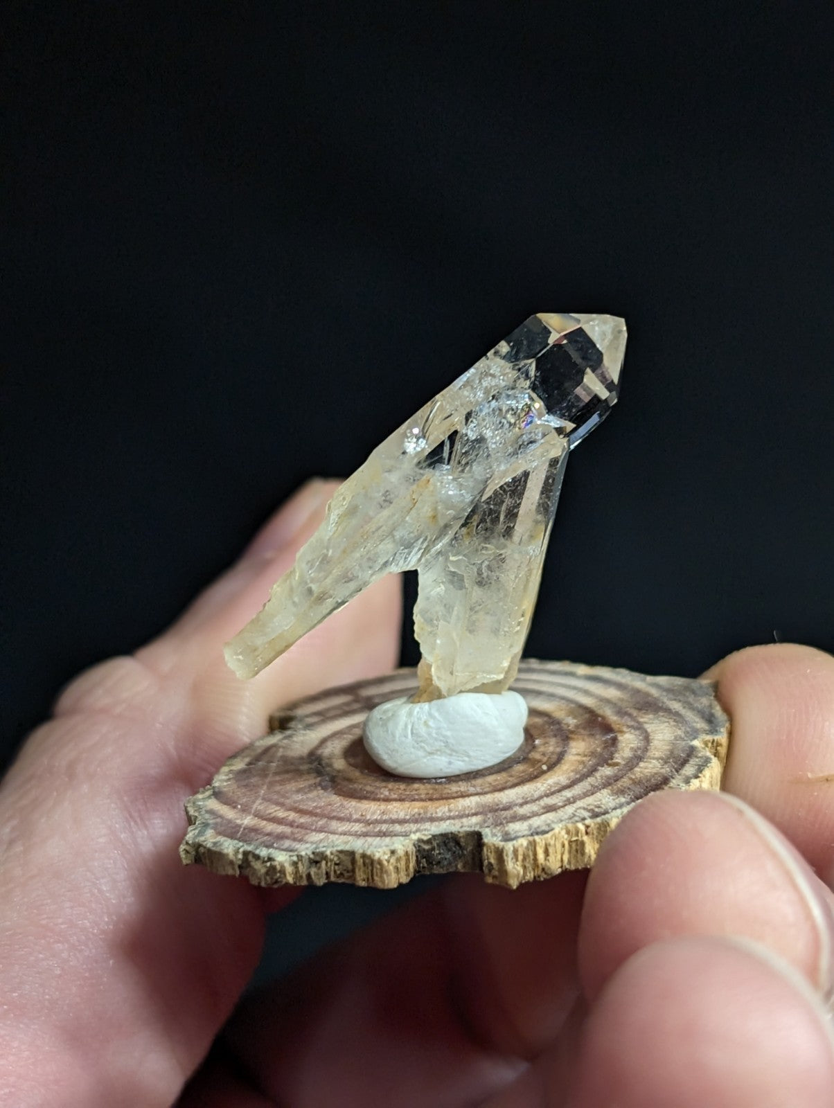 A translucent, faceted quartz crystal with a pointed tip and natural inclusions stands upright on a circular wooden slice base.
