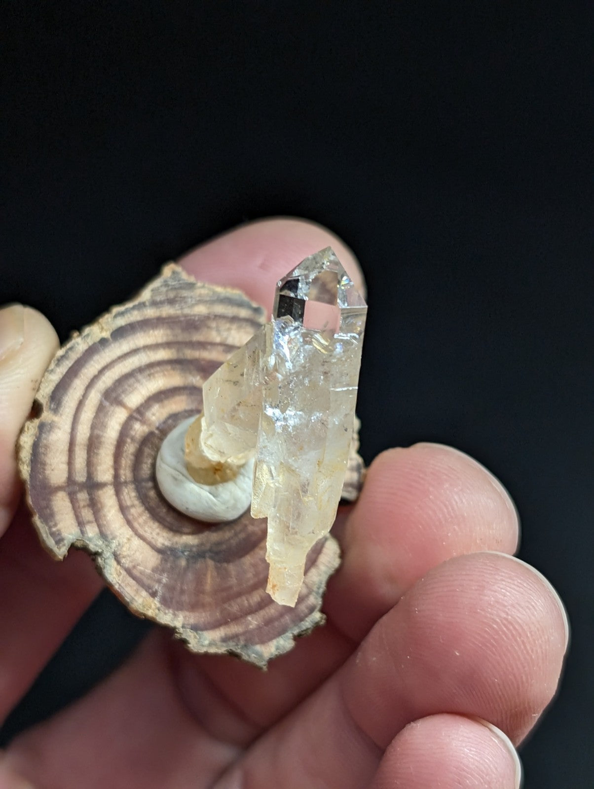A translucent, pale yellow quartz crystal with a pointed tip and visible internal inclusions is displayed on top of a circular wooden slice.