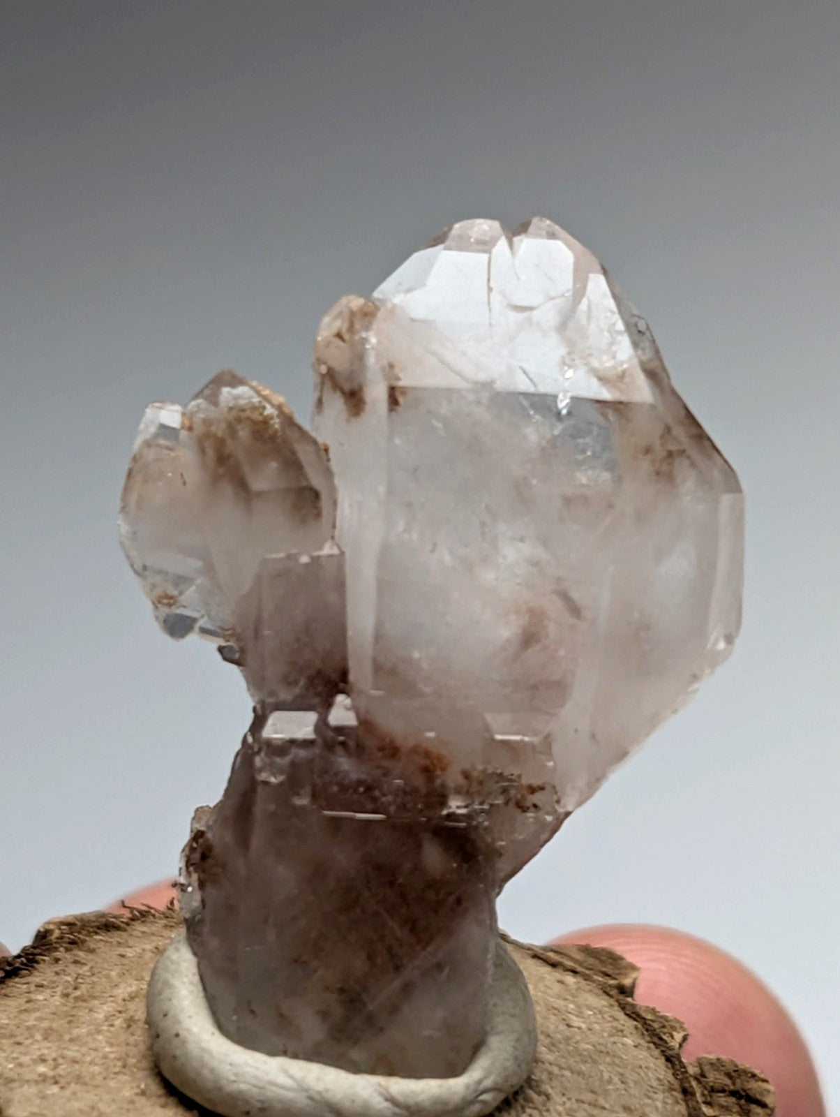 A+ unique quartz cluster with clear and smoky brown hues on a natural wood base from Montgomery County Arkansas
