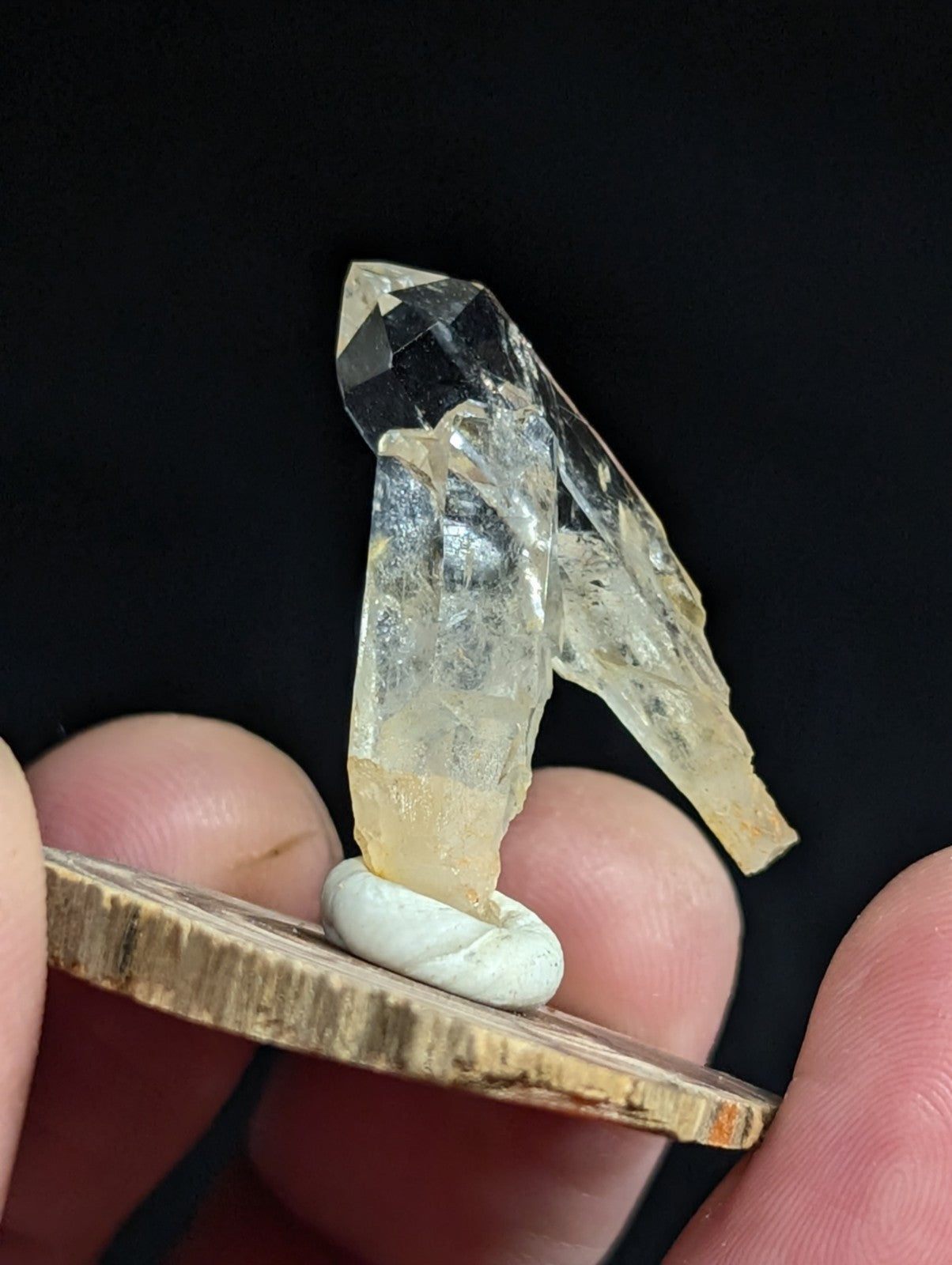 A translucent, multi-faceted quartz crystal with a clear and milky yellow base, mounted on a small white spiral stand atop a rustic wooden disc.
