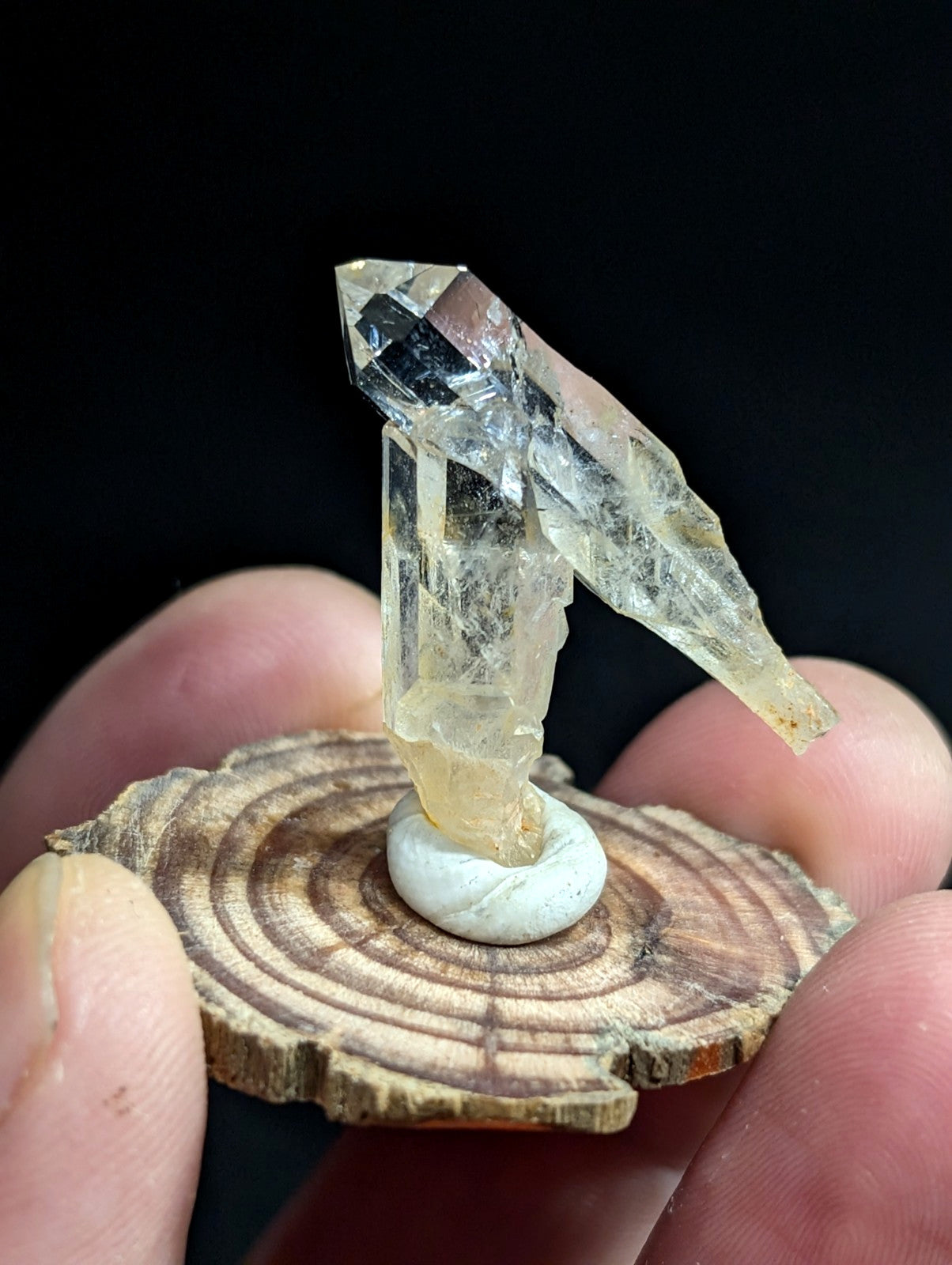 A translucent, faceted quartz crystal with a pale yellow tint stands upright on a small white base atop a circular wood slice.