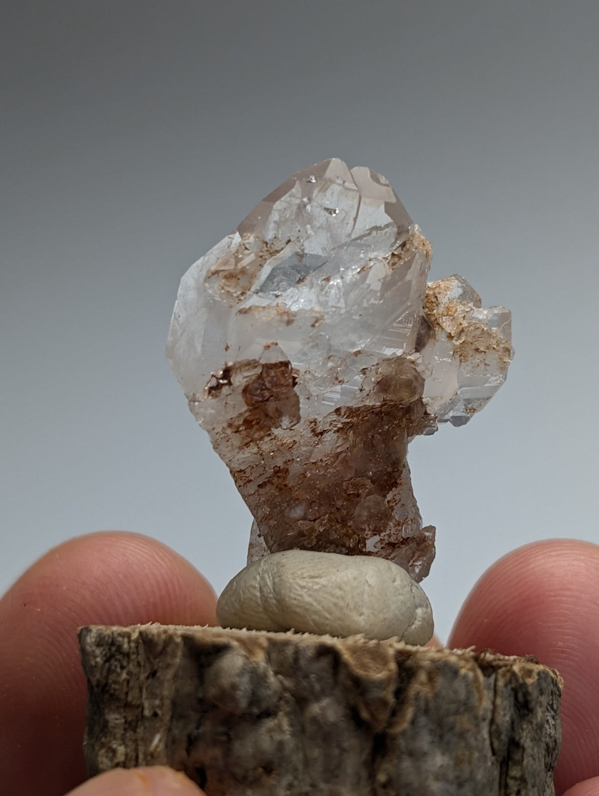 A+ unique translucent faceted quartz crystal with brownish matrix on a natural wood base from montgomery county arkansas