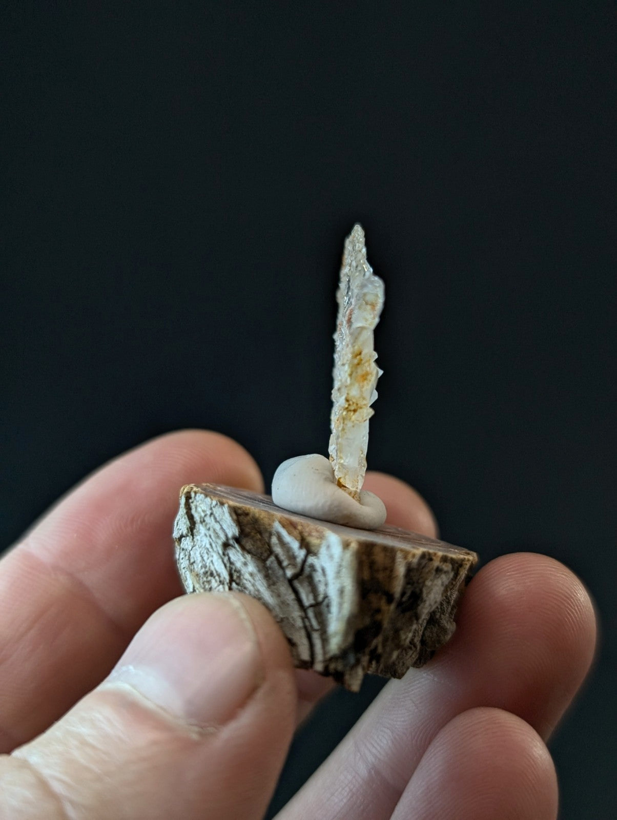 A delicate, translucent white crystal spike with subtle golden inclusions stands upright on a small, rough-textured brown wooden base.