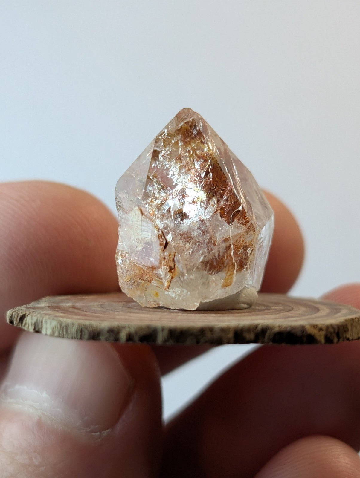 A translucent, faceted quartz crystal with golden inclusions rests on a circular wooden slice.