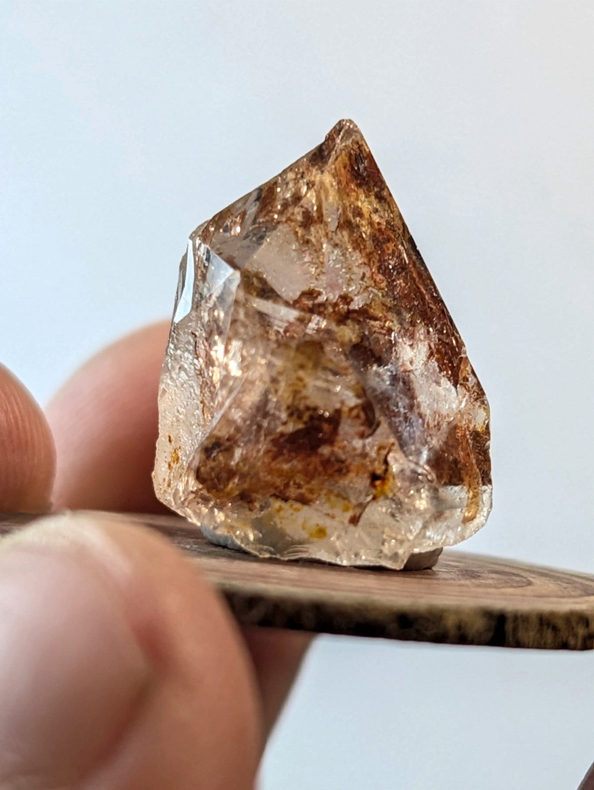 A translucent, faceted crystal with brown and amber inclusions.