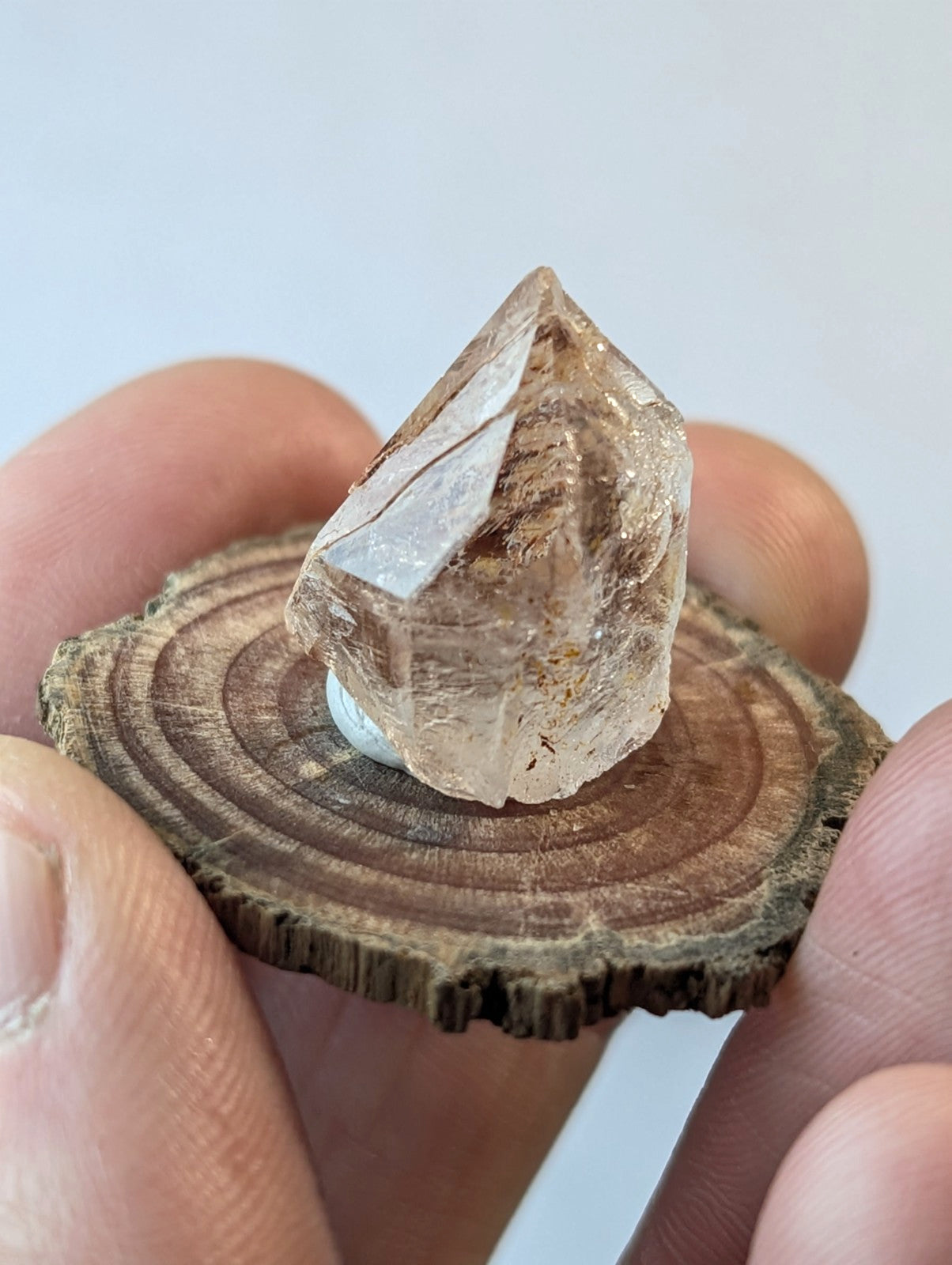 A translucent, light brown crystal with a pointed tip and visible internal inclusions rests on a circular wooden slice.