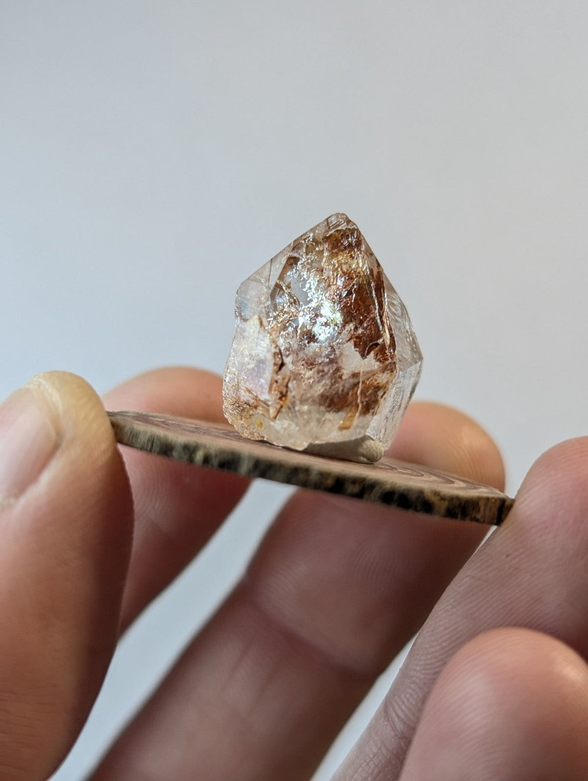 A faceted, translucent crystal with golden-brown inclusions rests delicately on a coin held between fingers.