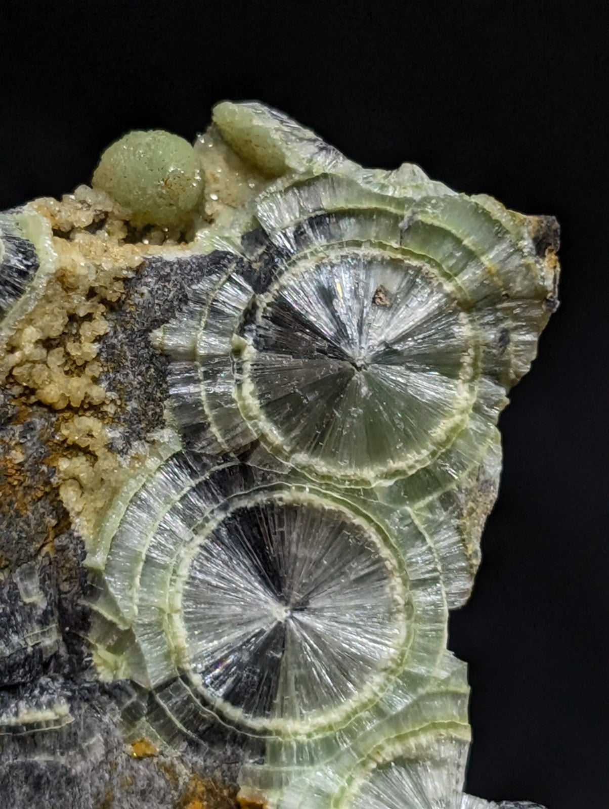 A striking green and translucent mineral specimen featuring concentric, radiating crystal formations with a glossy surface.