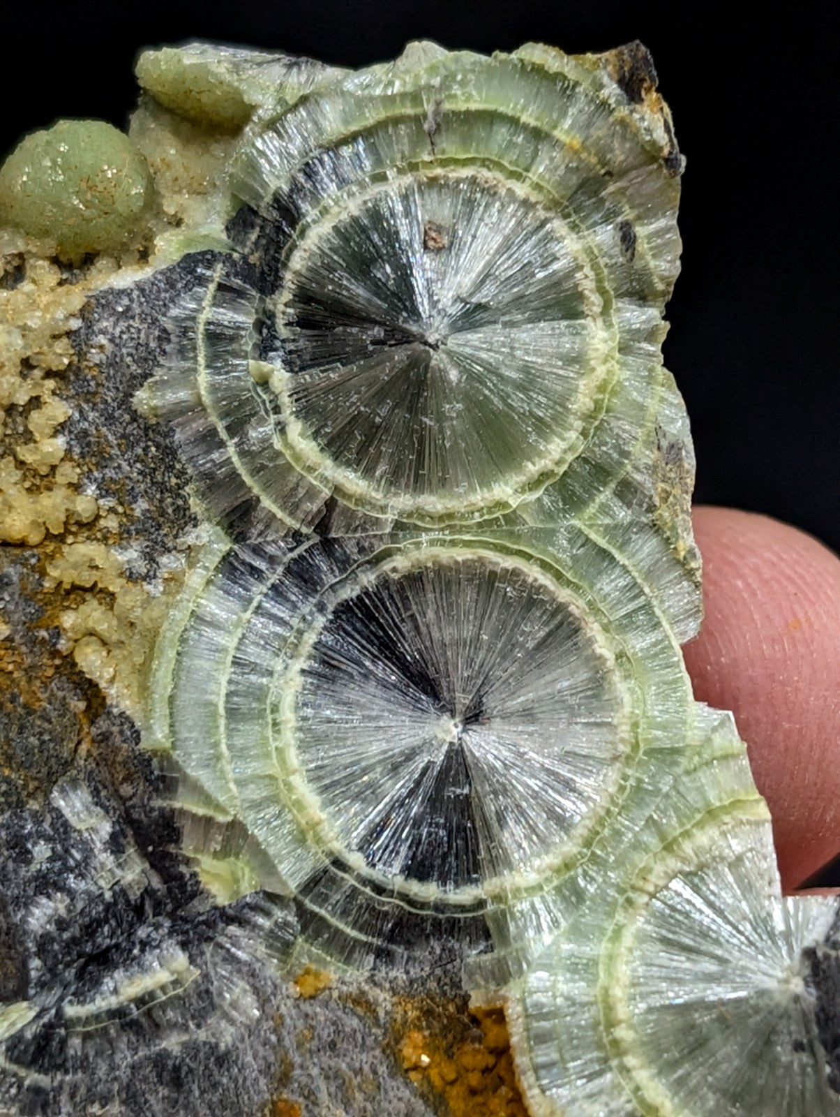 A striking green and black concentric mineral specimen featuring radiating crystalline patterns.