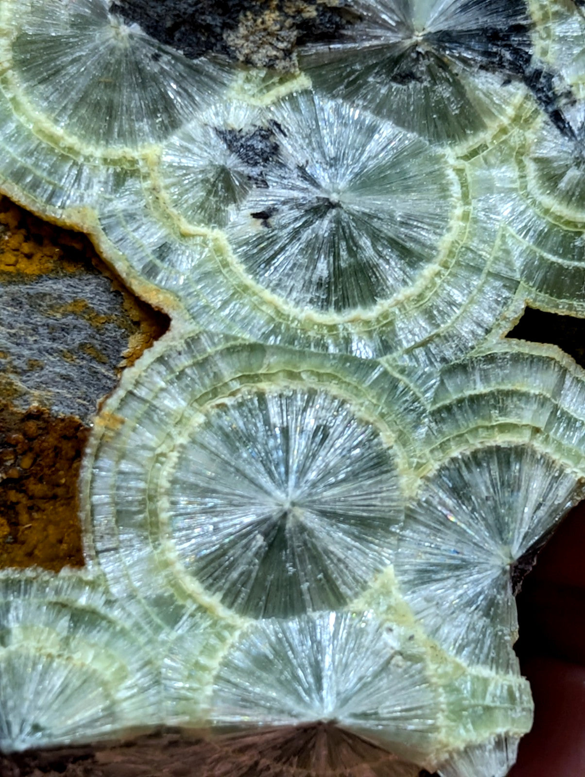 A translucent green and white crystalline mineral formation with radial, fan-like patterns.