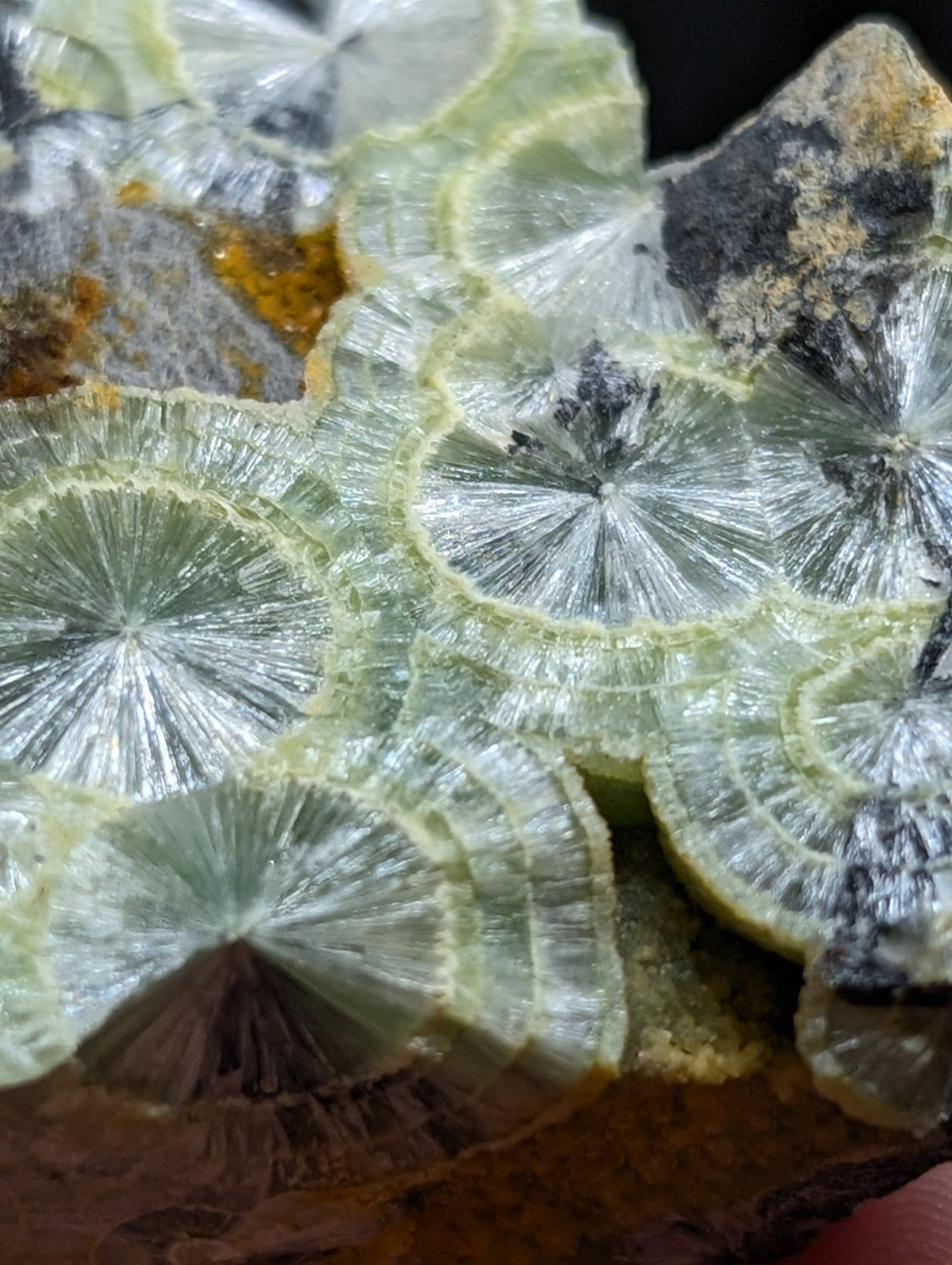 A translucent pale green mineral specimen featuring intricate, fan-like radial patterns with a crystalline texture.