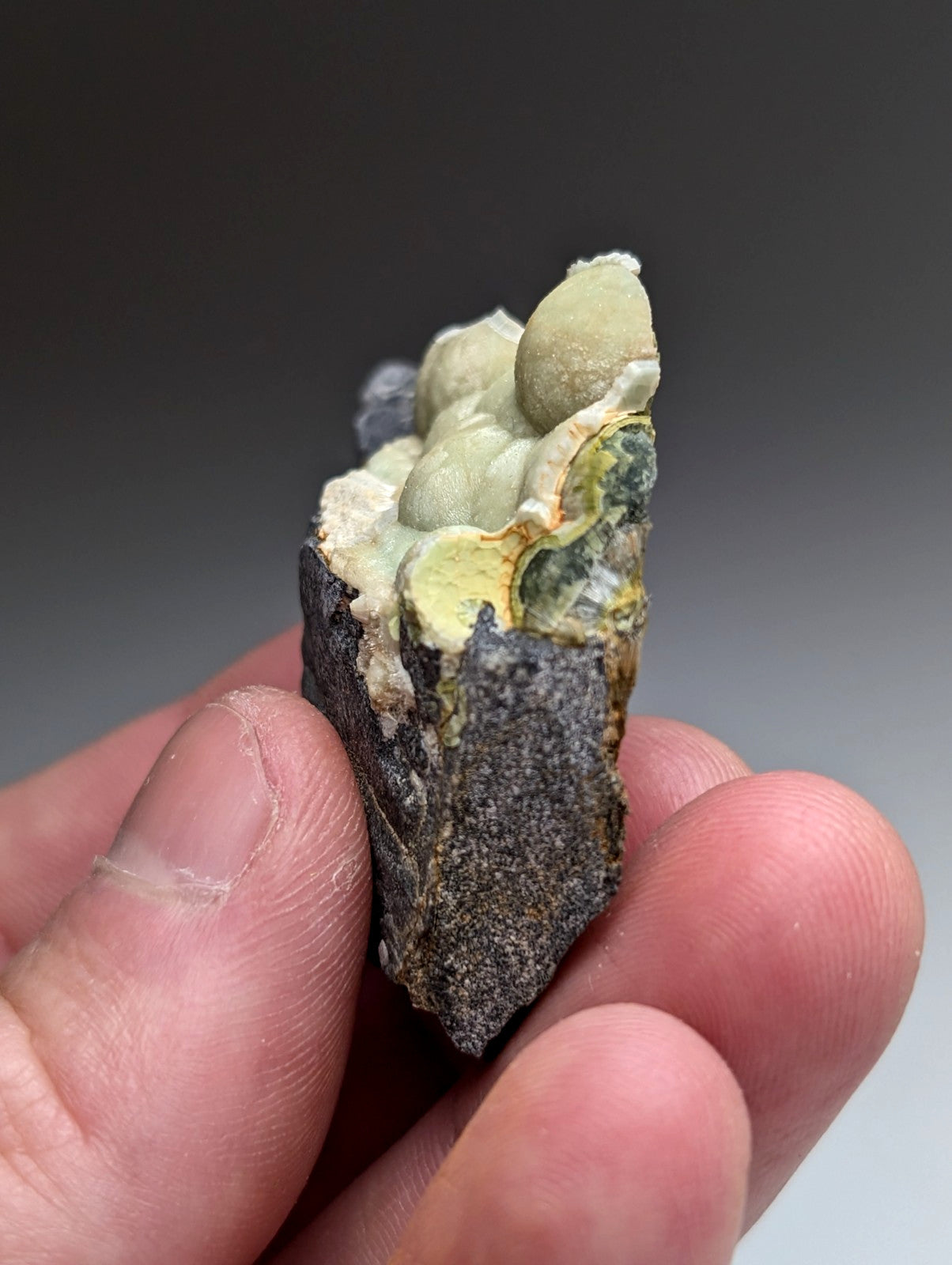 A hand holds a dark gray rock specimen with light green rounded uv reactive wavellite from Mauldin Mountain Arkansas USA