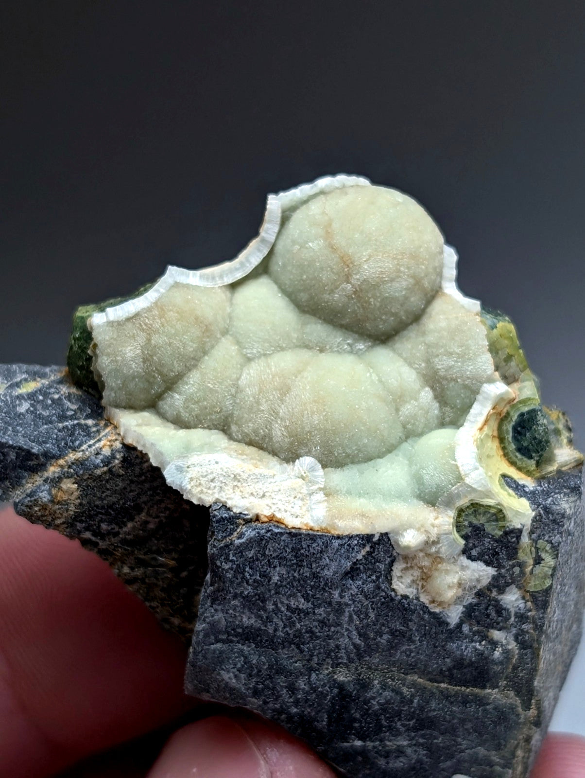 A pale green bubbly uv reactive wavellite mineral with white crystalline border nestled in dark rock from arkansas