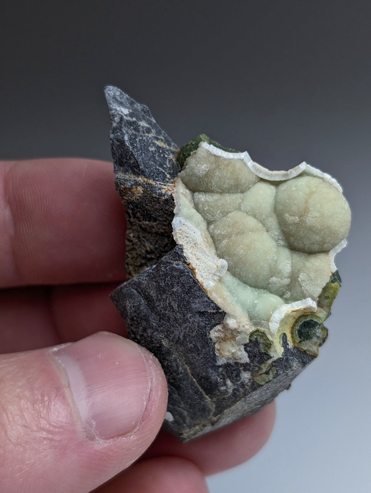 A hand holds a dark rough rock with pale green rounded uv reactive wavellite crystals from mauldin mountain Arkansas