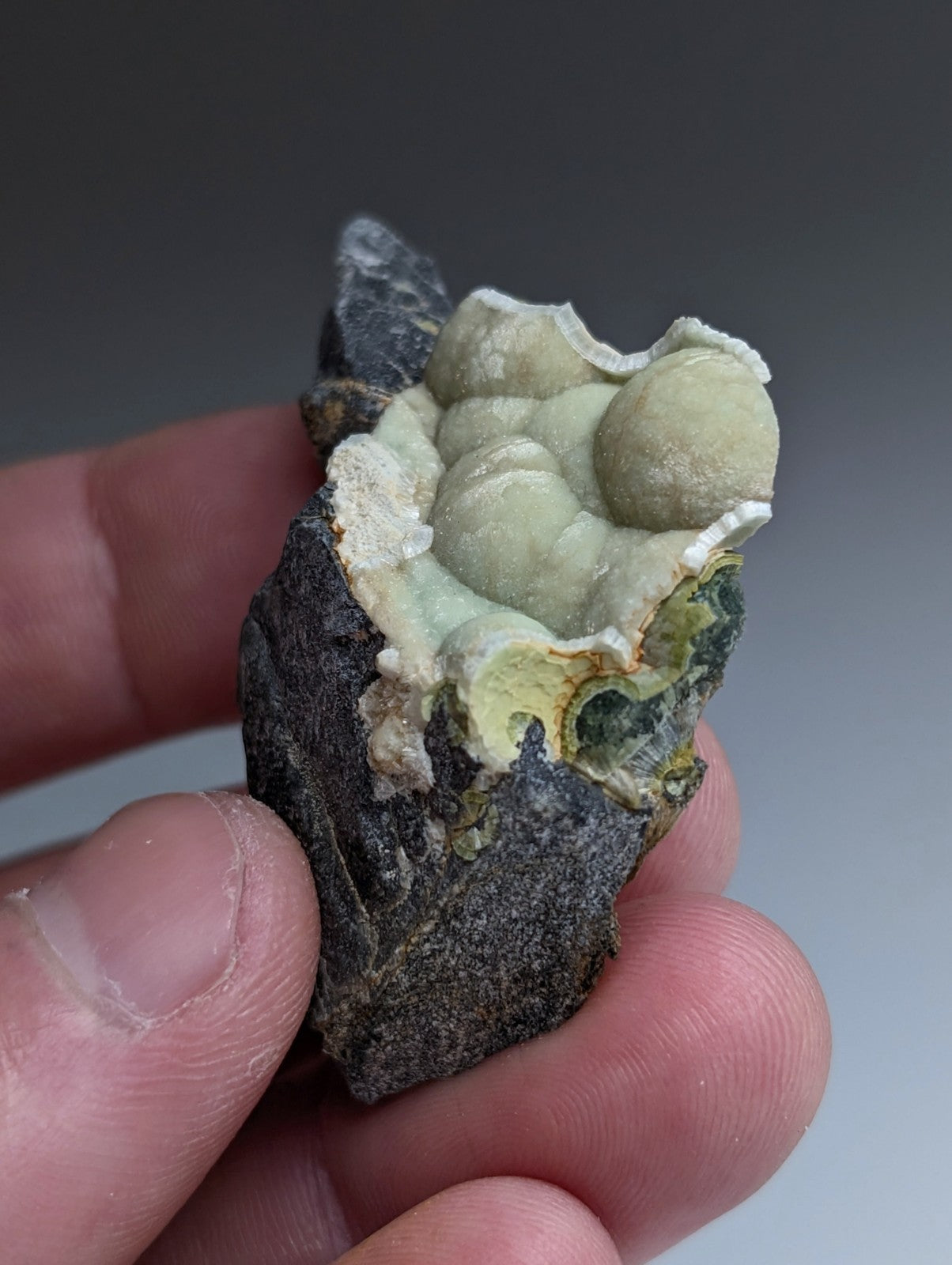 A hand holds a dark rough rock with light green bulbous uv reactive wavellite from Mauldin Mountain Arkansas USA