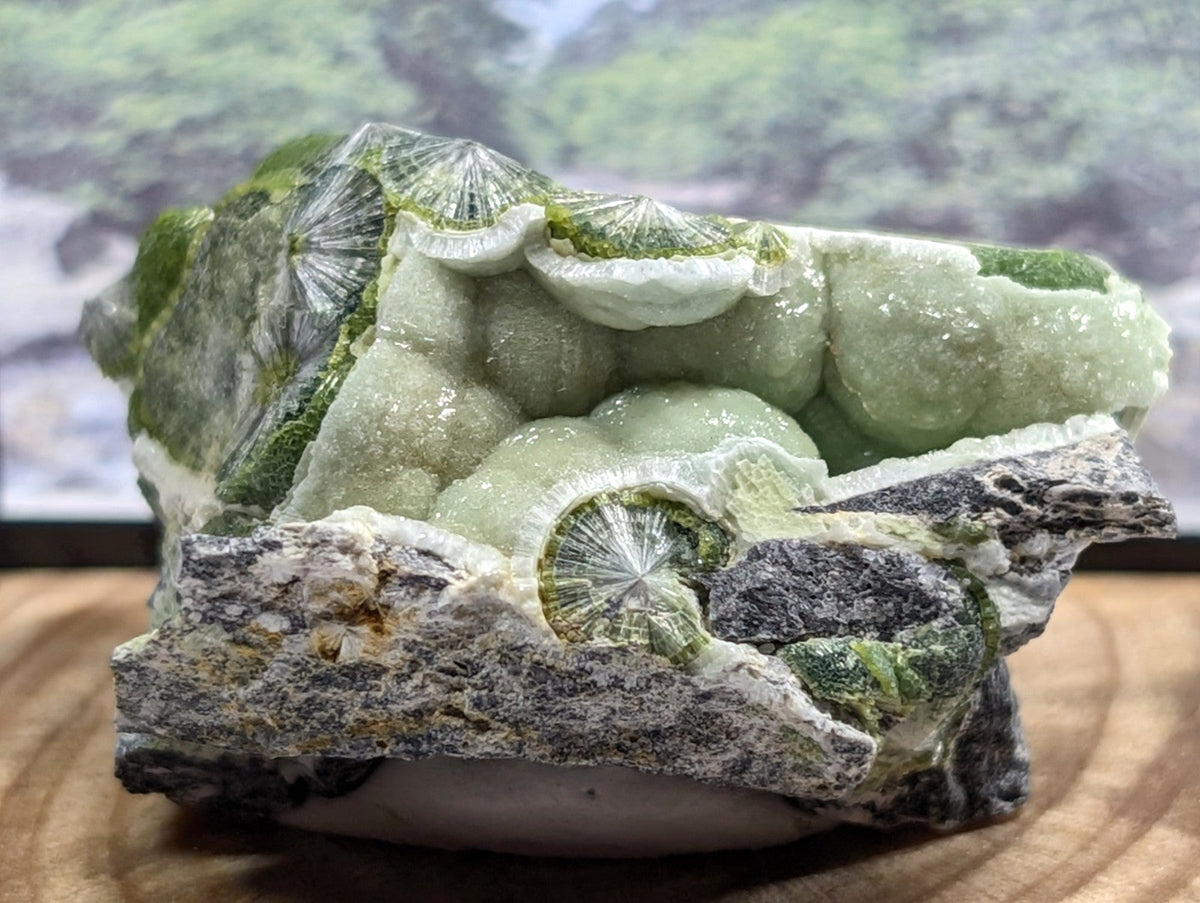 A striking green and white mineral specimen featuring intricate, fan-shaped crystalline formations embedded in a rugged matrix.