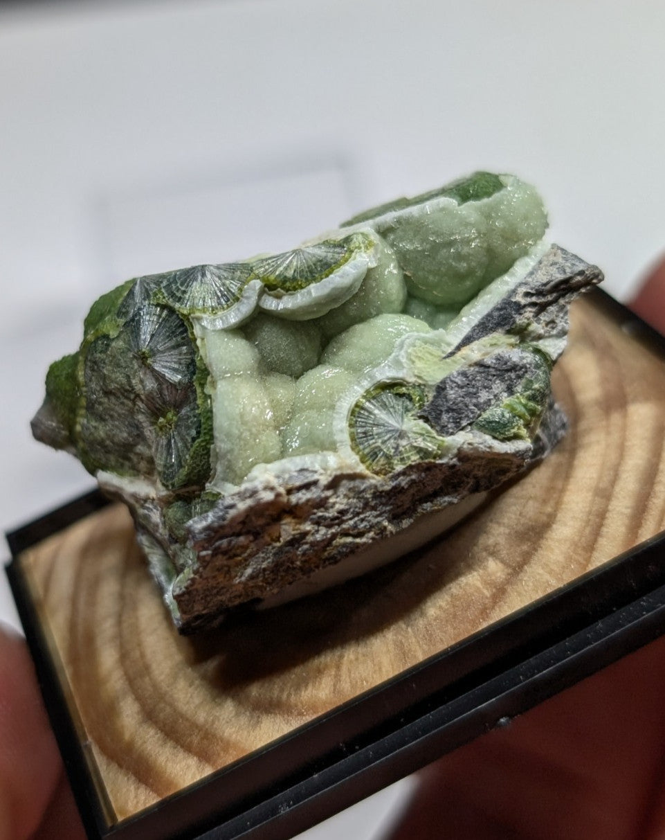 A green, translucent mineral specimen with intricate fan-shaped patterns embedded in a rough, dark matrix.