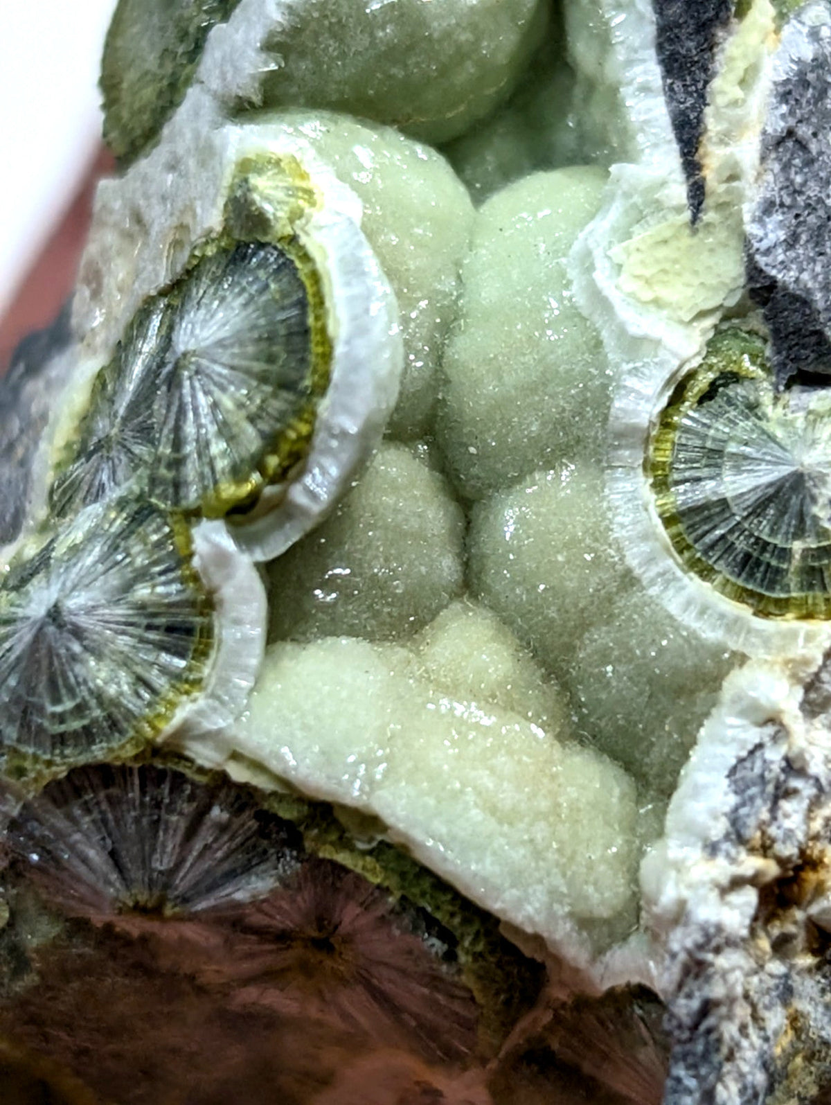A cluster of translucent green and white calcite crystals with intricate radial patterns, embedded in a rough matrix.