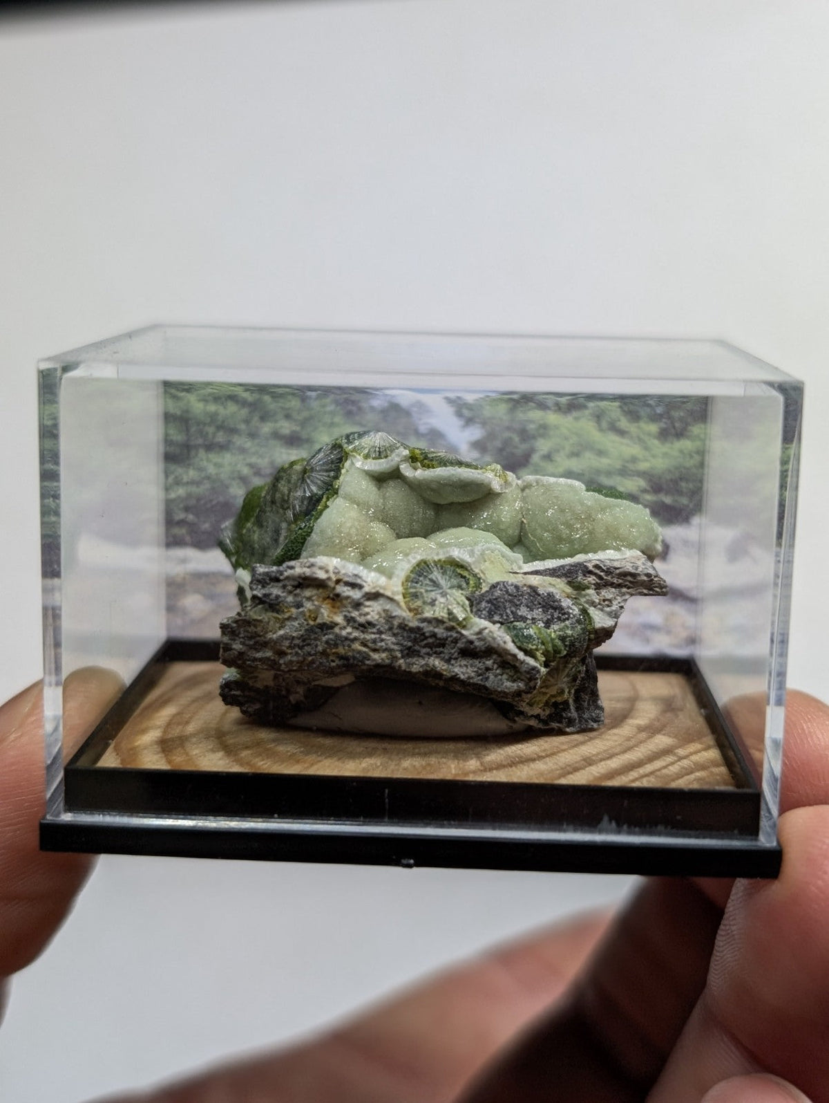 A green, leafy mineral specimen displayed in a clear acrylic display case with a wooden base.