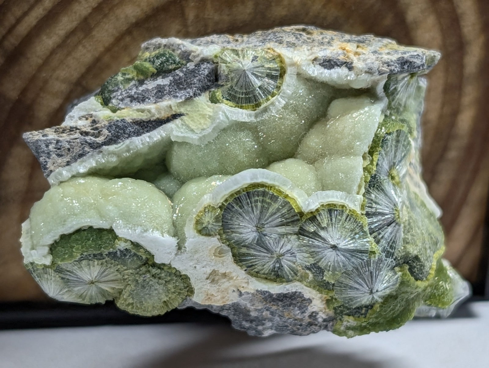 A striking green and white mineral specimen featuring intricate, fan-like crystalline formations with a rough, textured matrix.